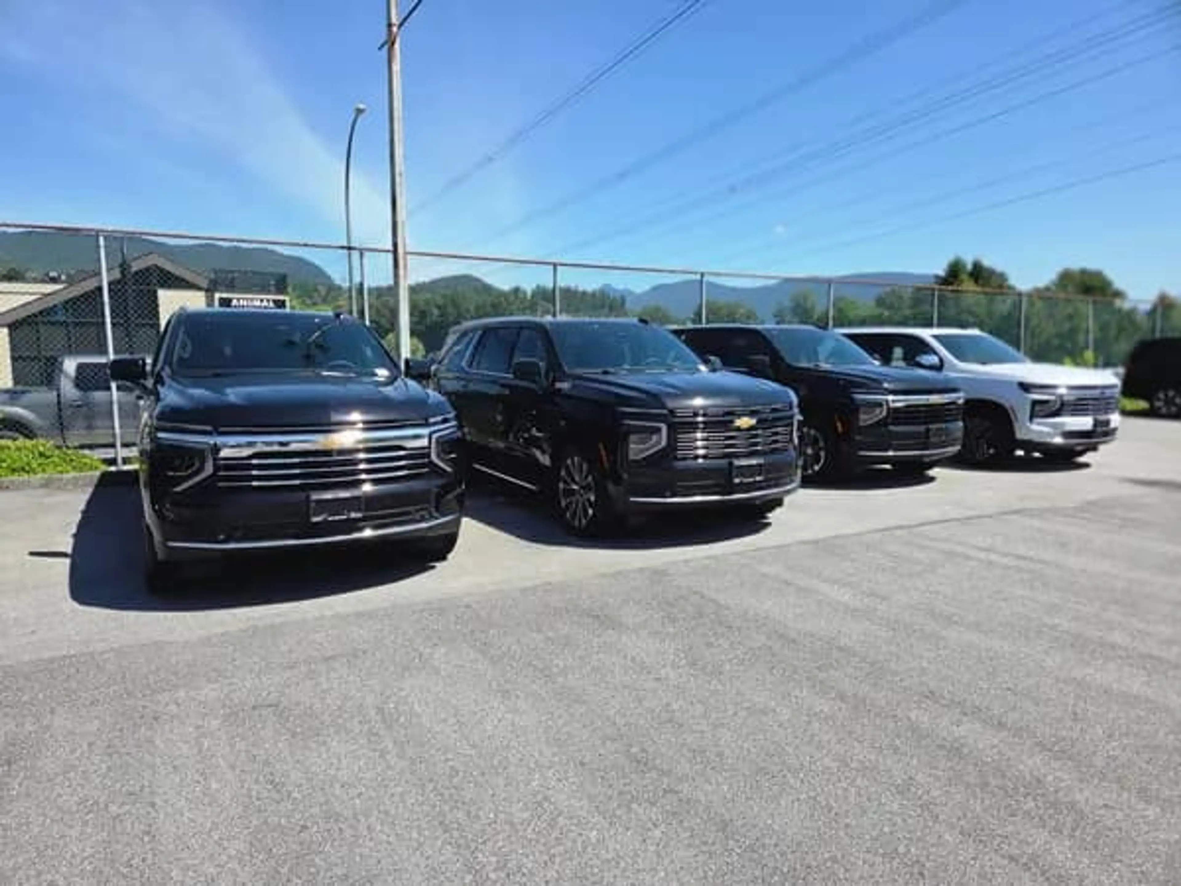Our Suv Fleet
