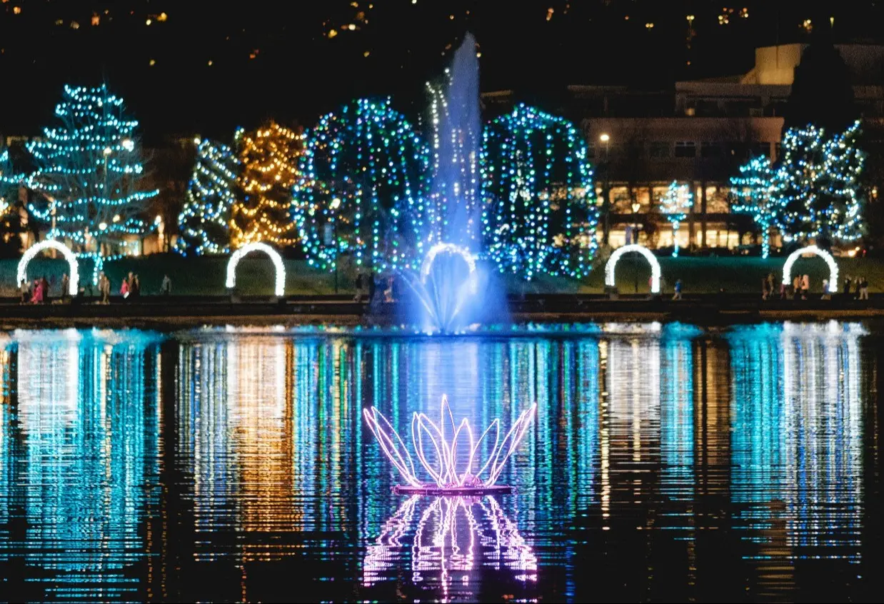 w-1504h-846-d8d0d8-Lights-at-Lafarge