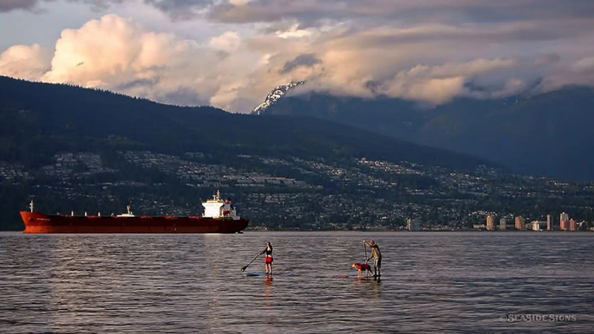 Stand Up Paddle Boarding