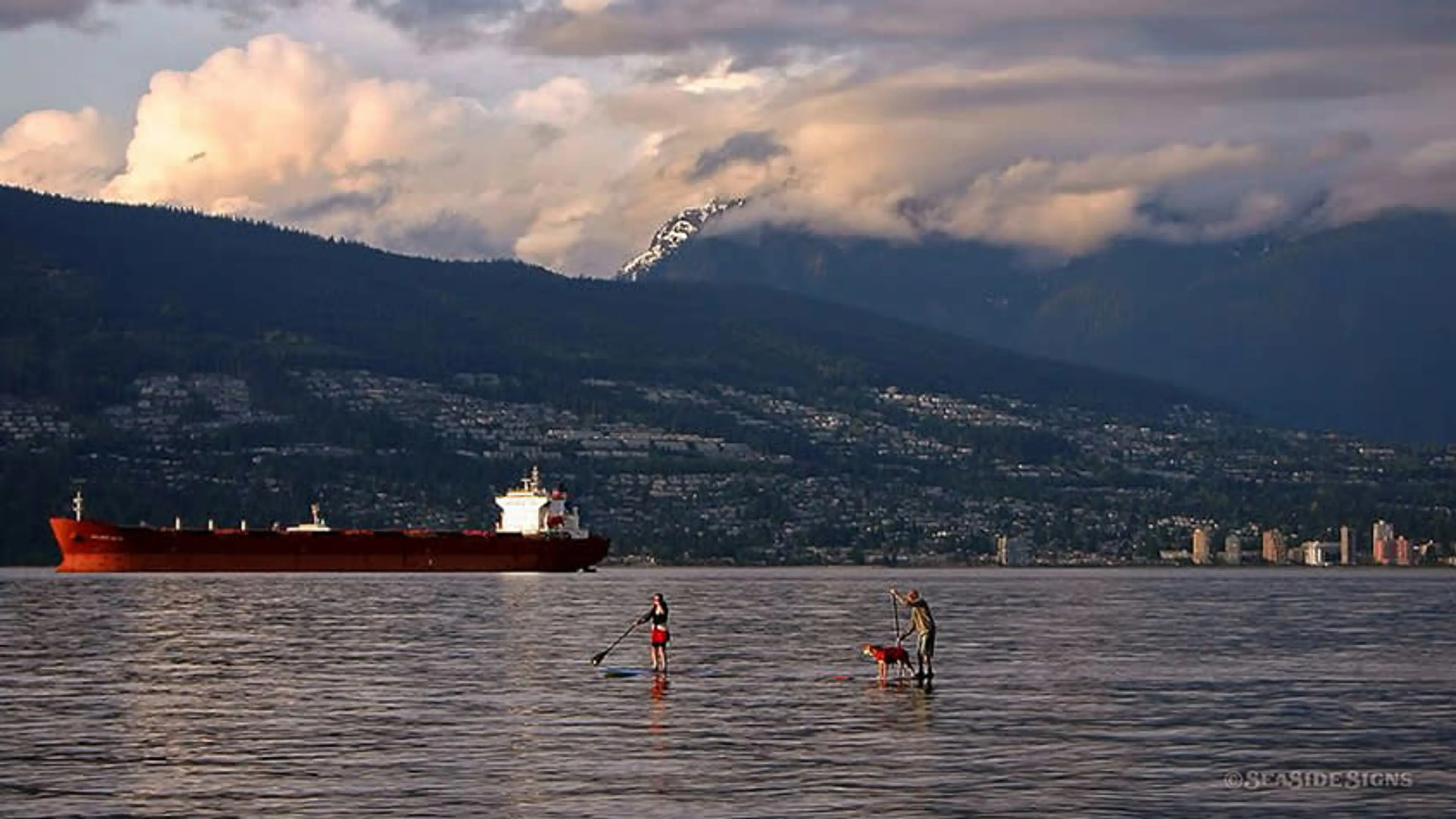 Stand Up Paddle Boarding