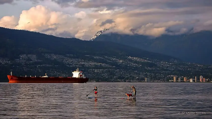 Stand Up Paddle Boarding
