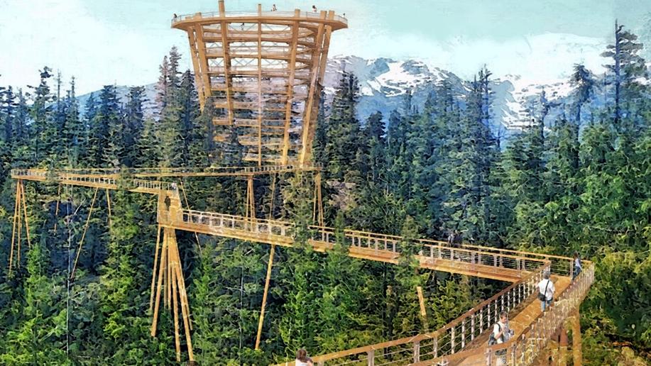 Sea to Sky Gondola Proposes New Summit Infrastructure- An Elevated Tree Walk Experience