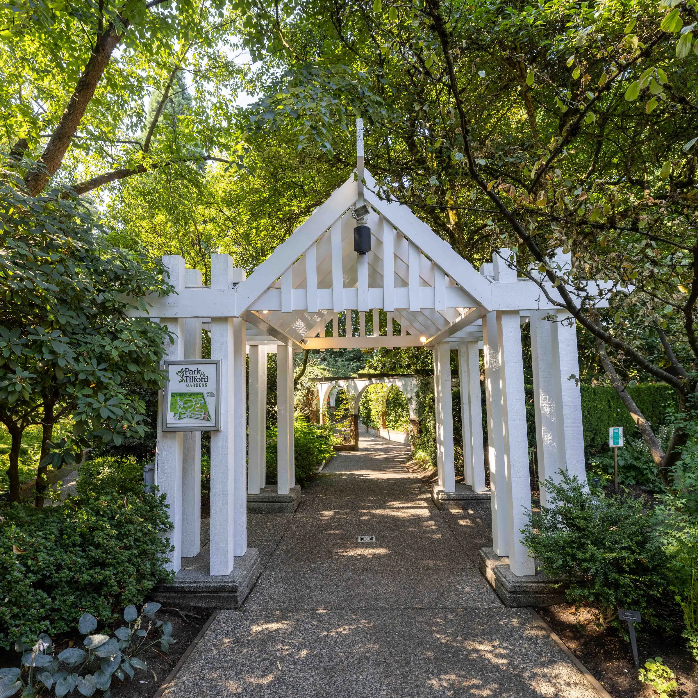 Park & Tilford Gardens