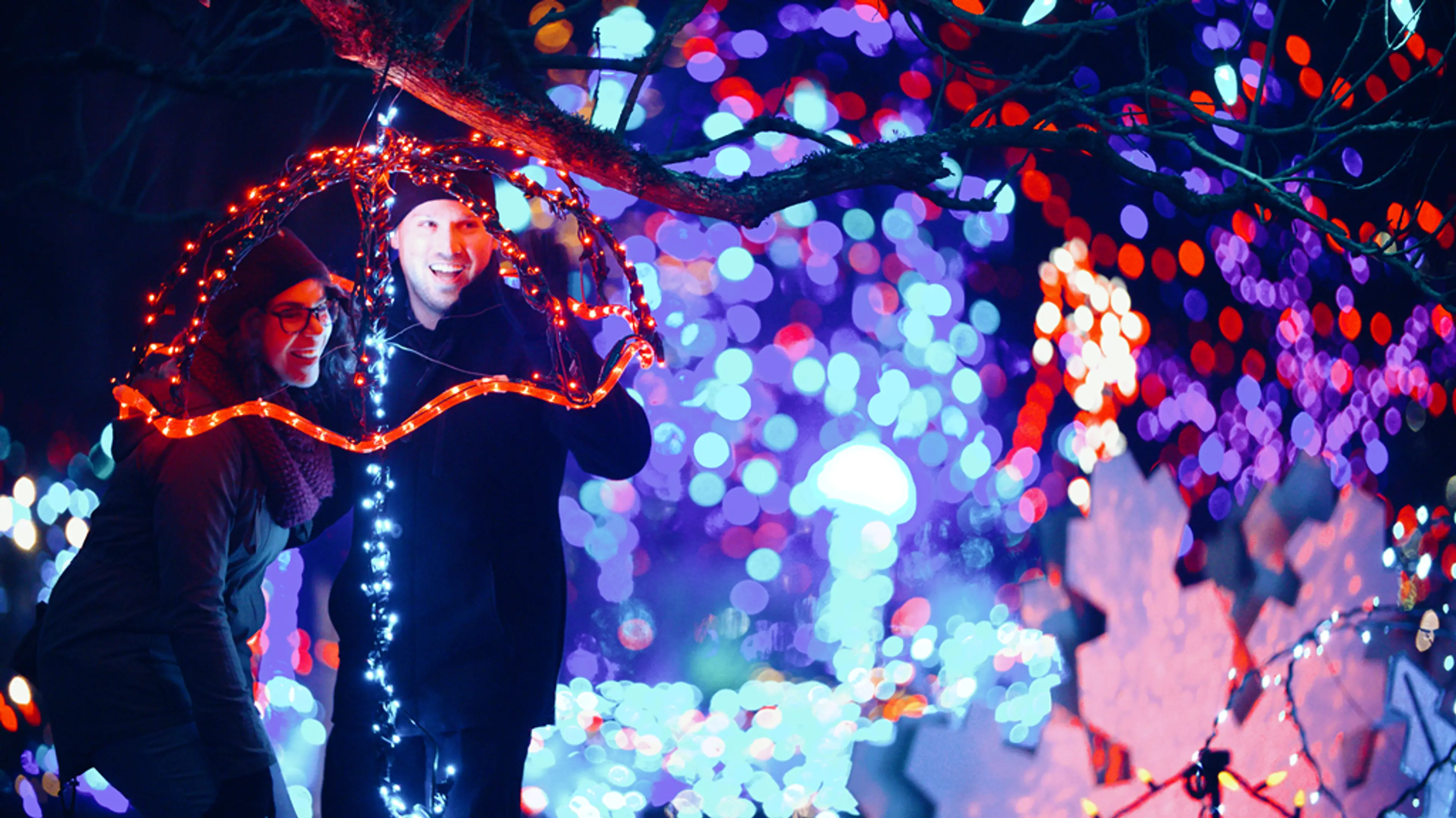 Ticket Giveaway: Festival of Lights at VanDusen Botanical Gardens!