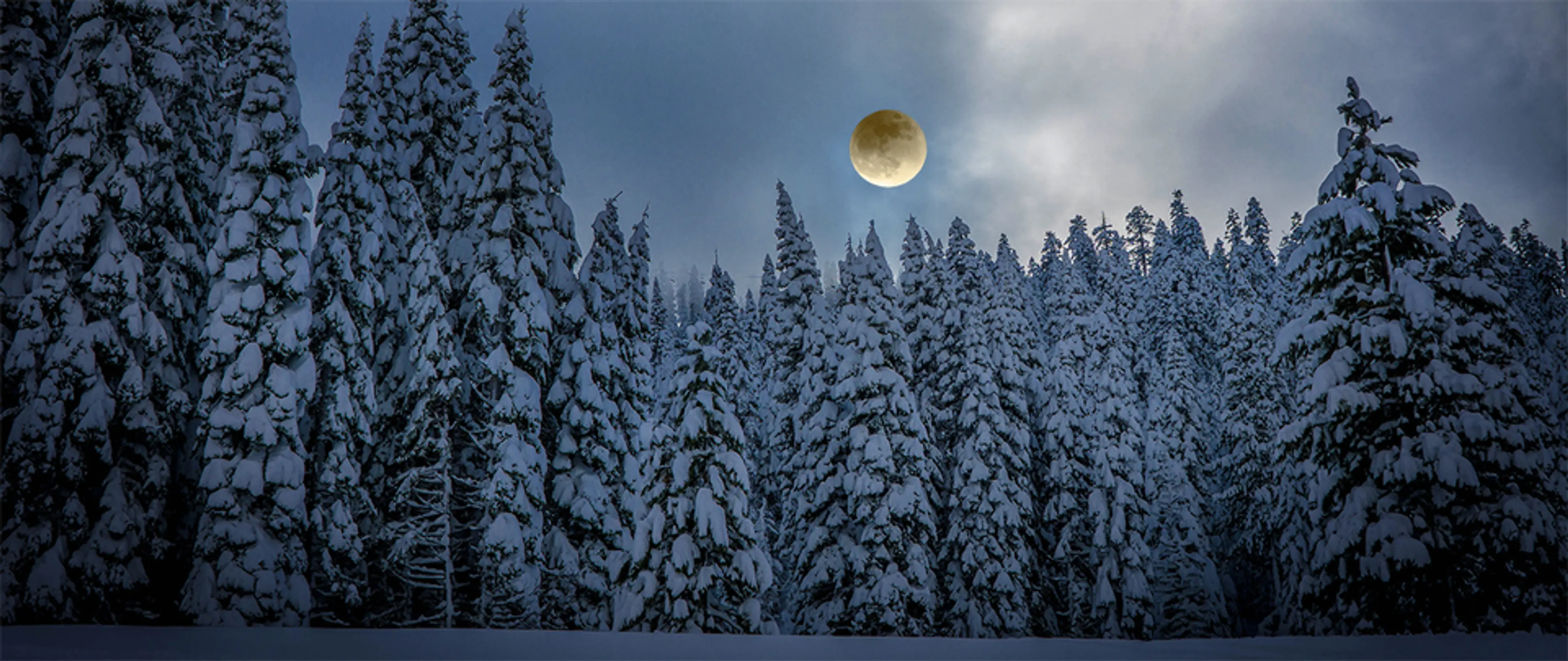 Full moon over a snowy forest