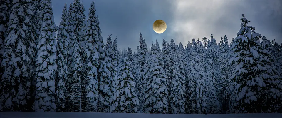 Full moon over a snowy forest