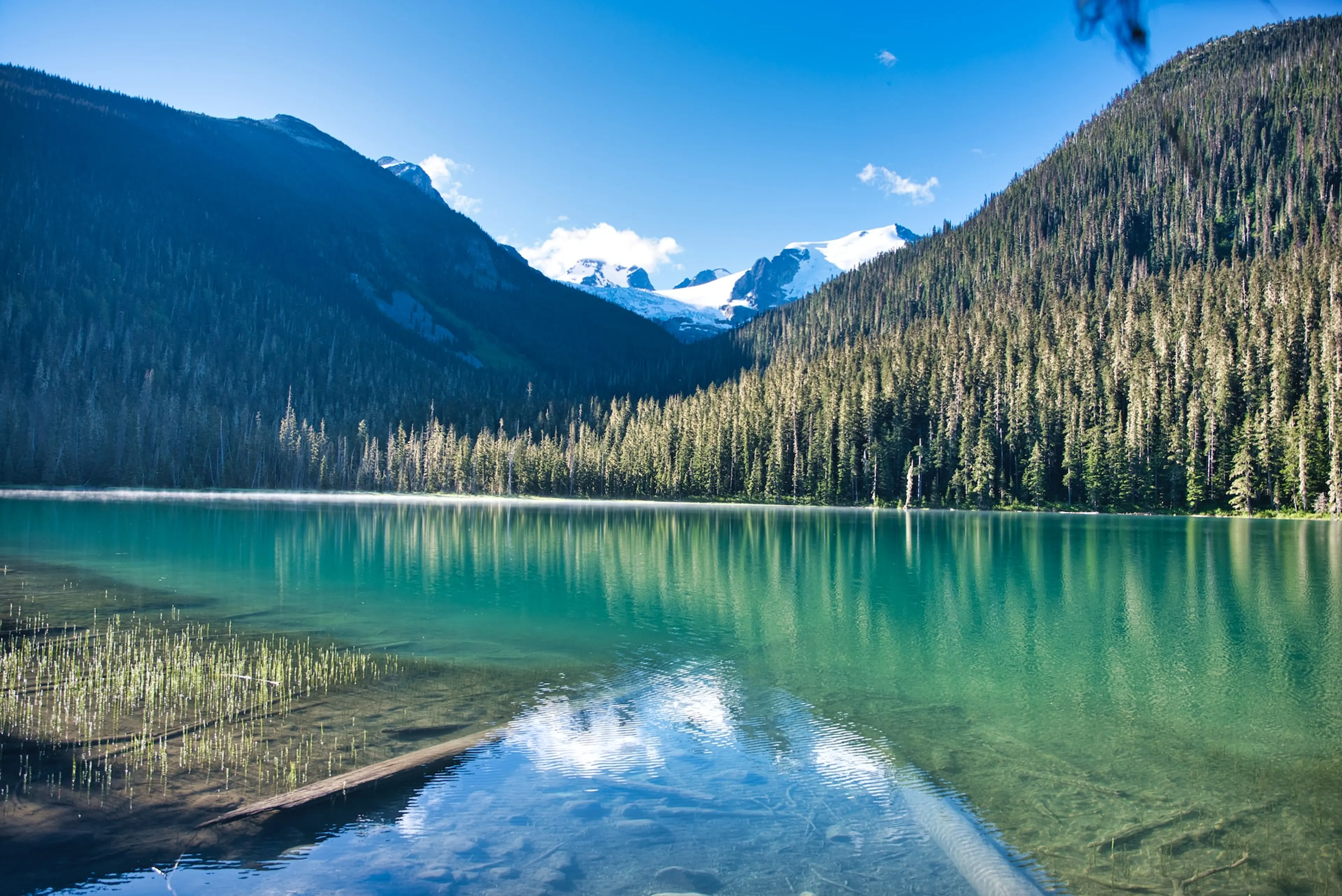 August 2023 Vancouver Hike of the Month: Joffre Lakes
