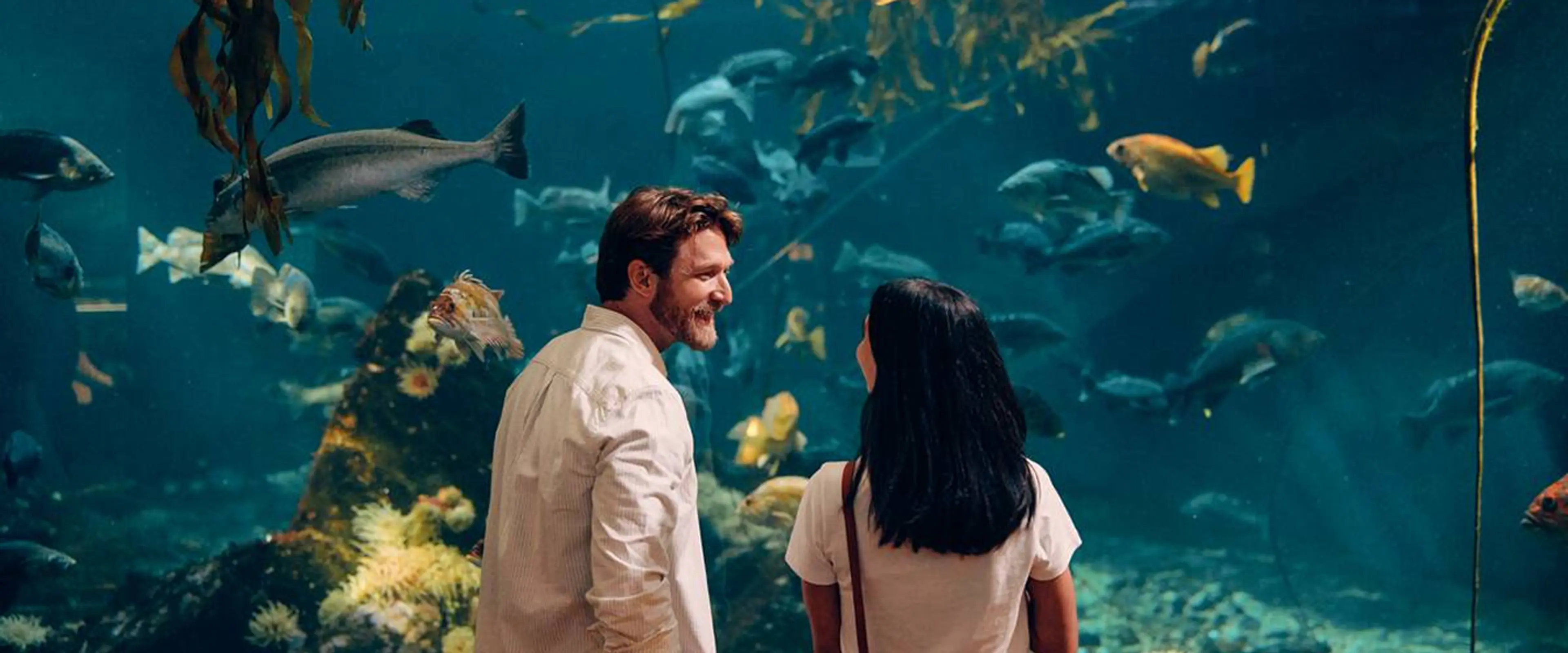 Man and woman looking at various fish swimming in a large aquarium.