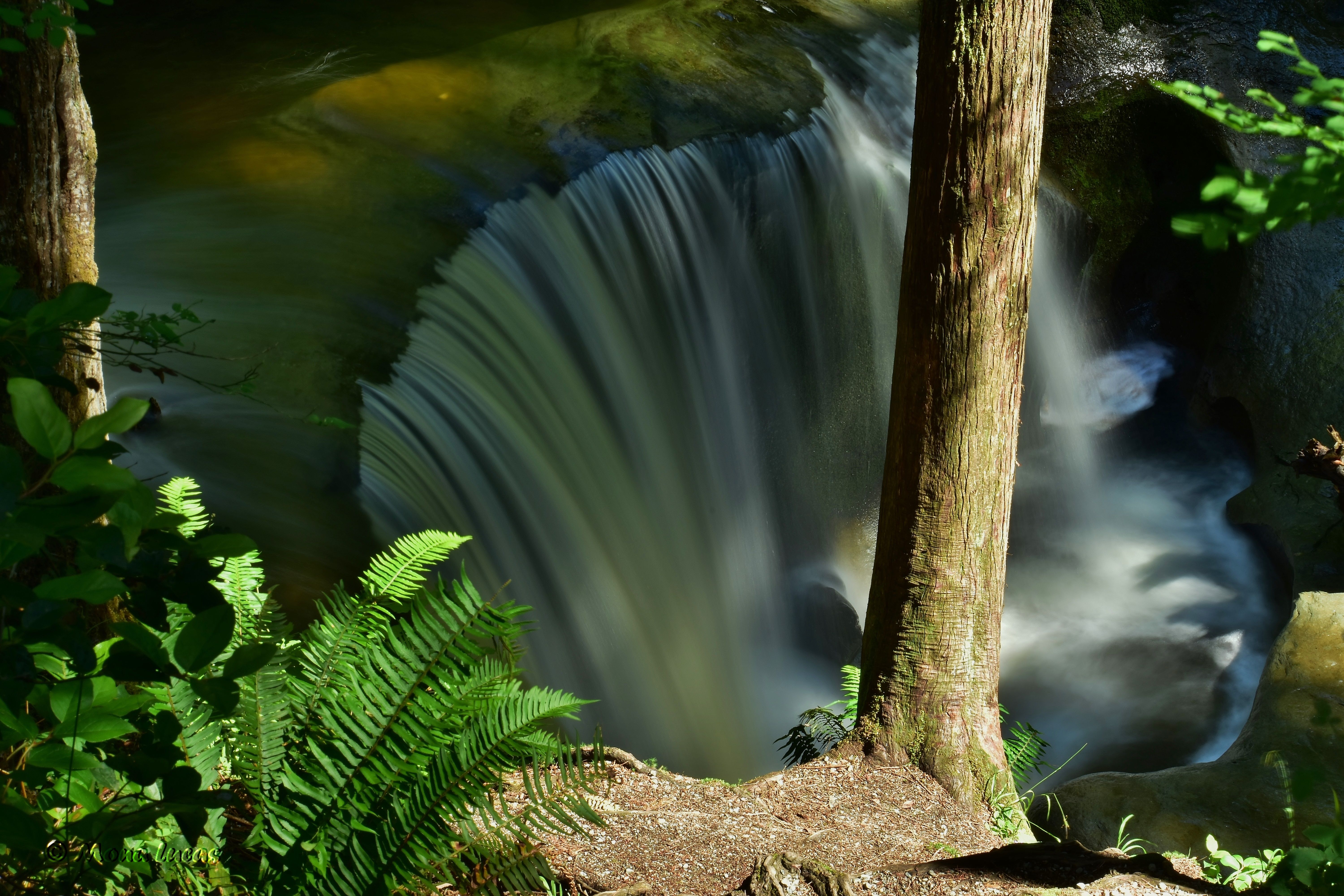 Kanaka Creek Park - Cliff Falls