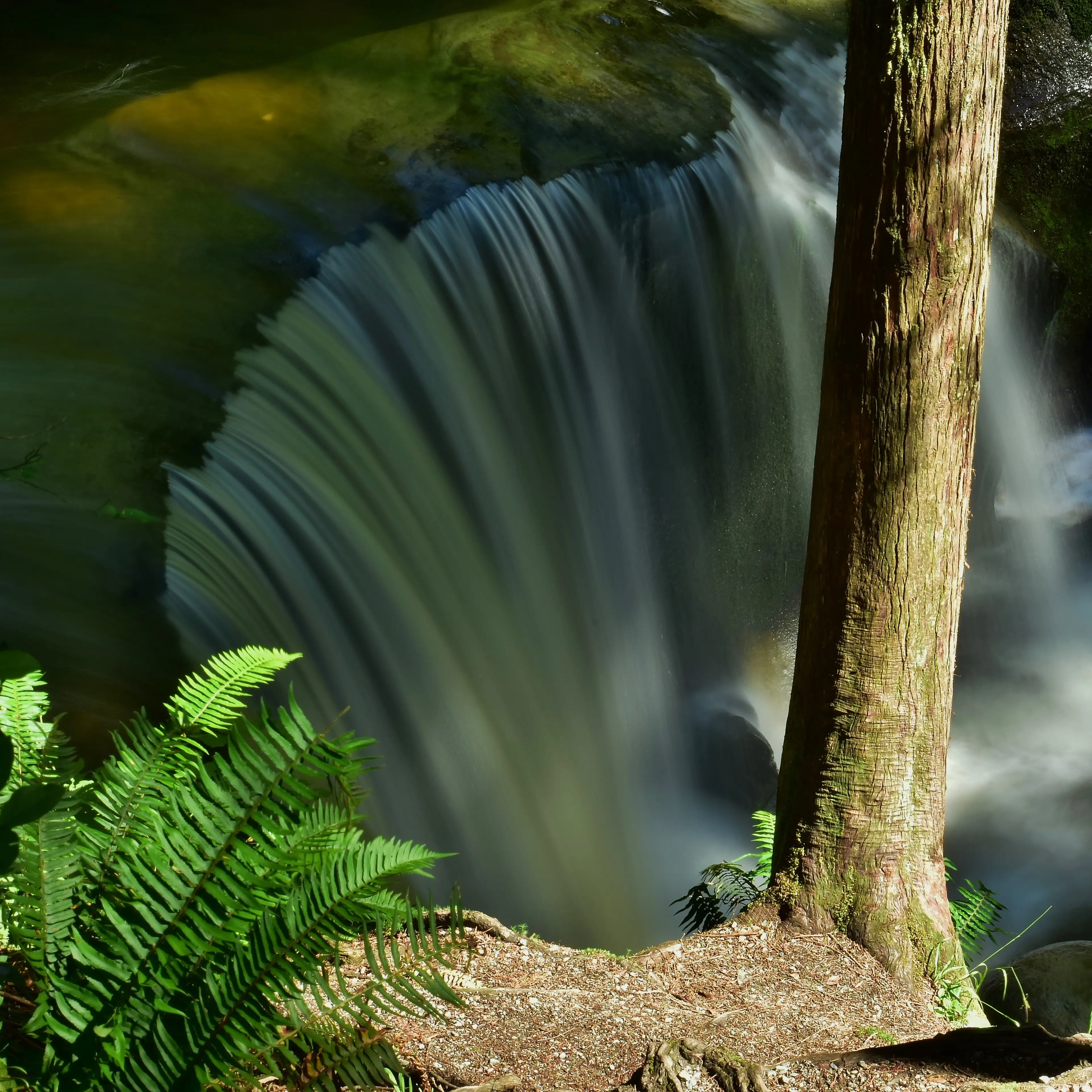 Kanaka Creek Park - Cliff Falls
