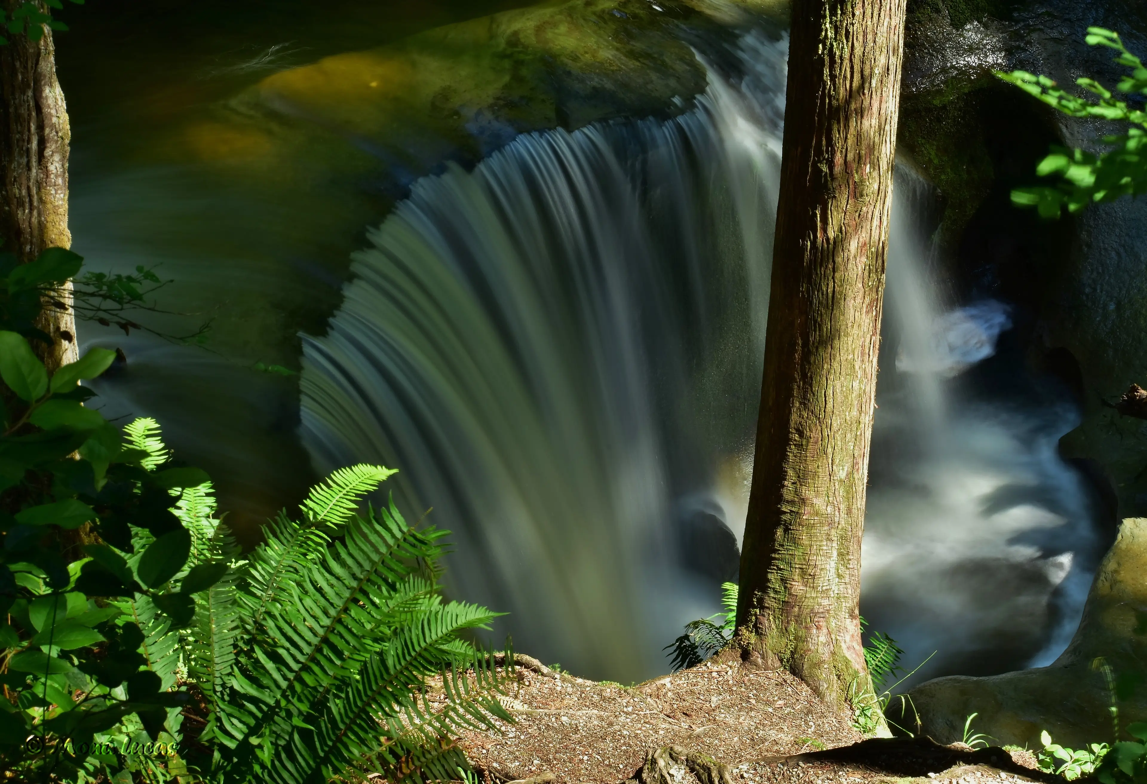Kanaka Creek Park - Cliff Falls