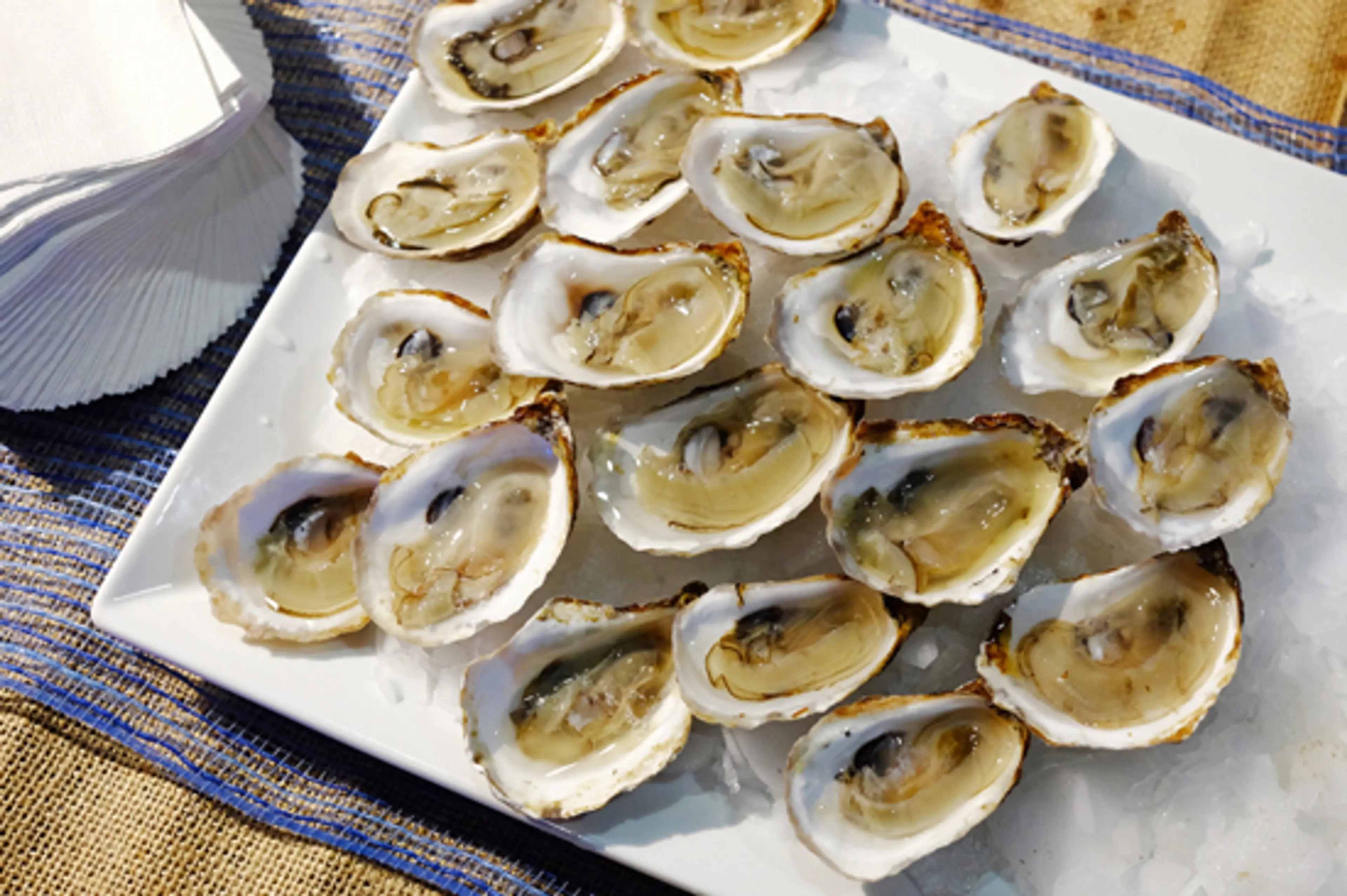 Vancouver Aquarium Hosts Toast to the Coast: A Roaming Eating & Drinking Gala