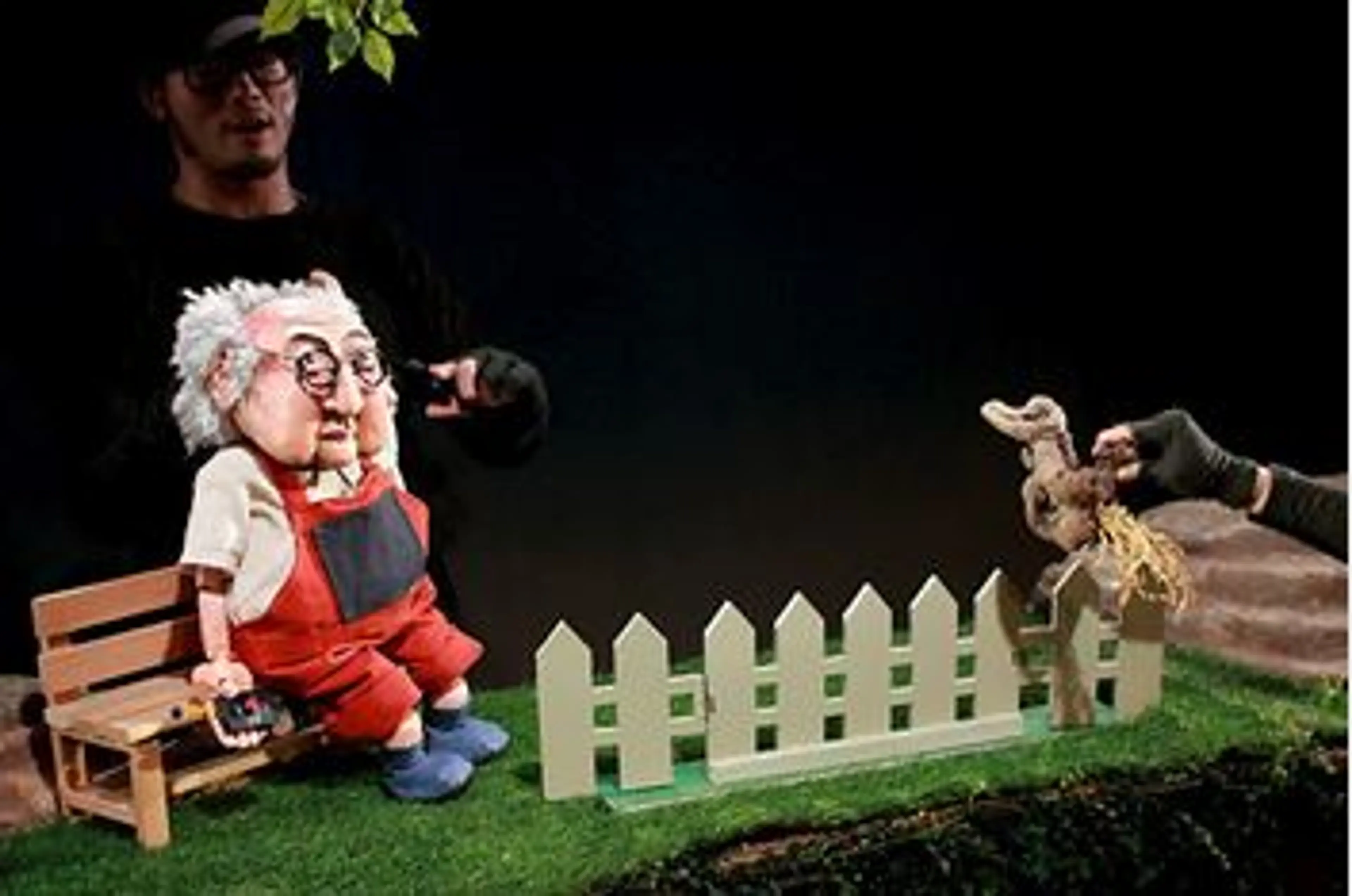Taiwanese Puppet Festival