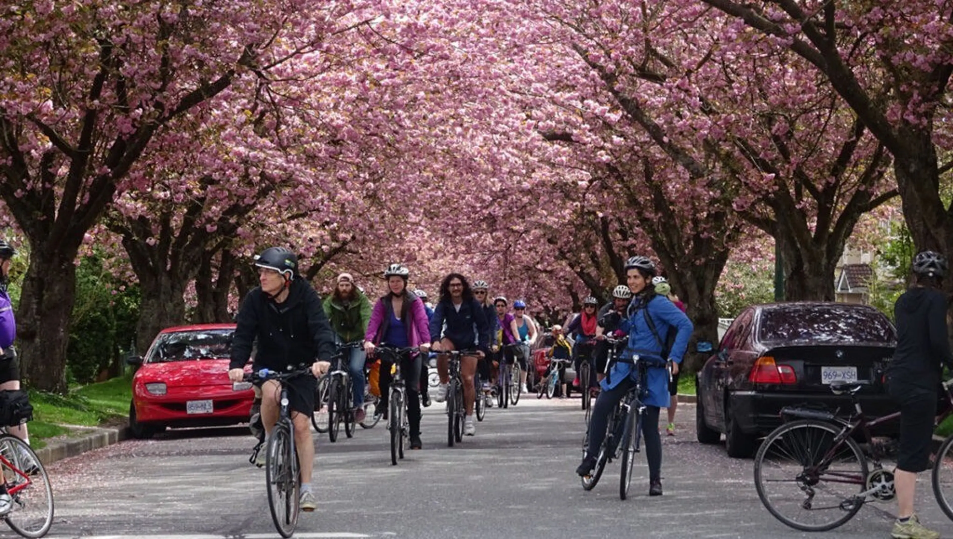 Credit-Linda-Poole_Bike-the-Blossoms-1024x768