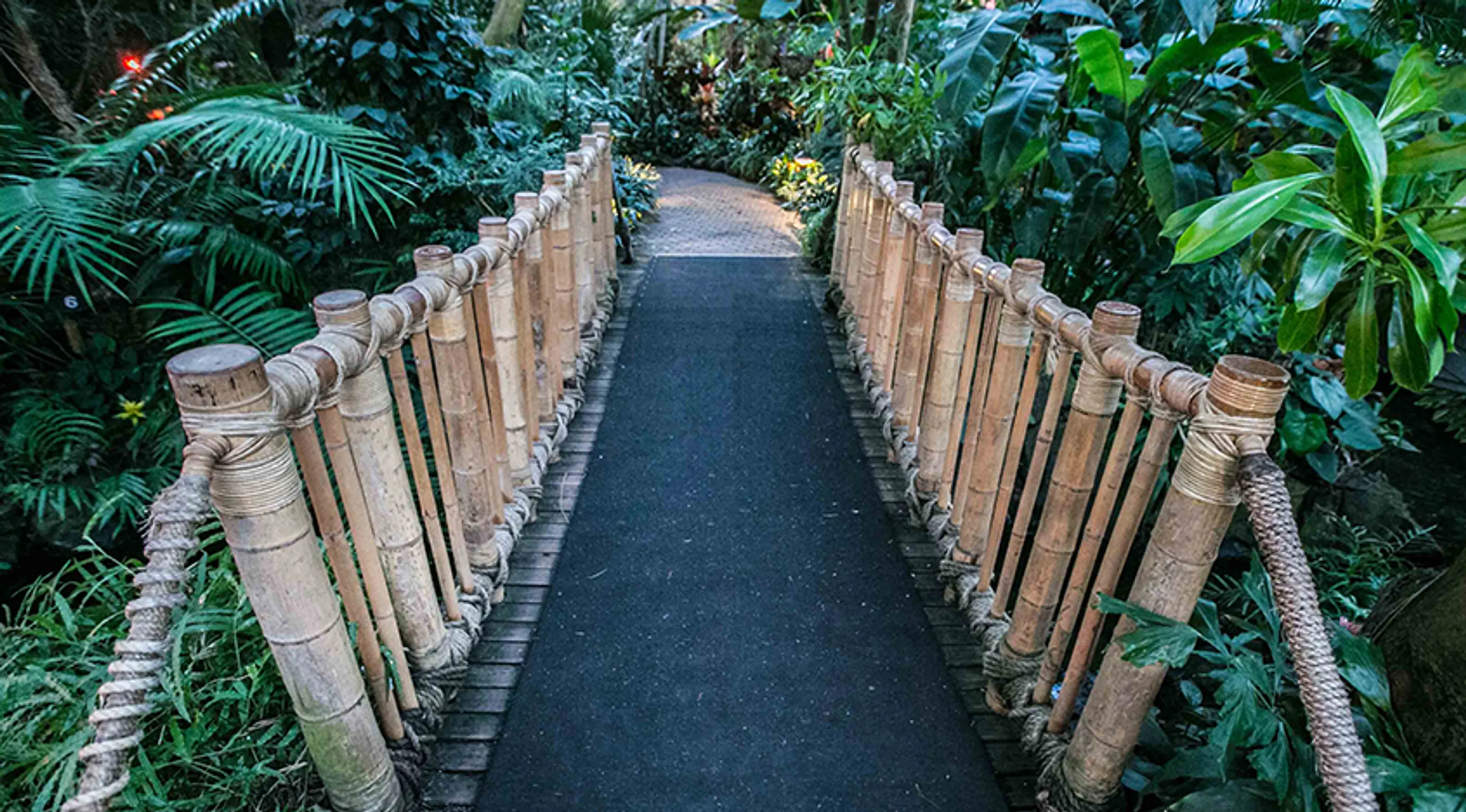 Film Venue Spotlight: Bloedel Conservator