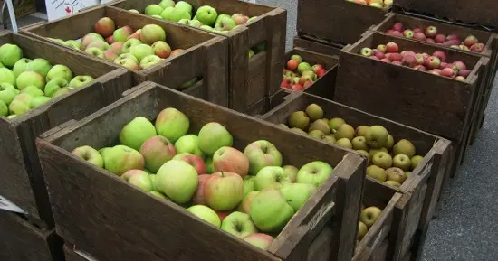 Five Delicious Apples to Sample at the UBC Apple Festival in Vancouver