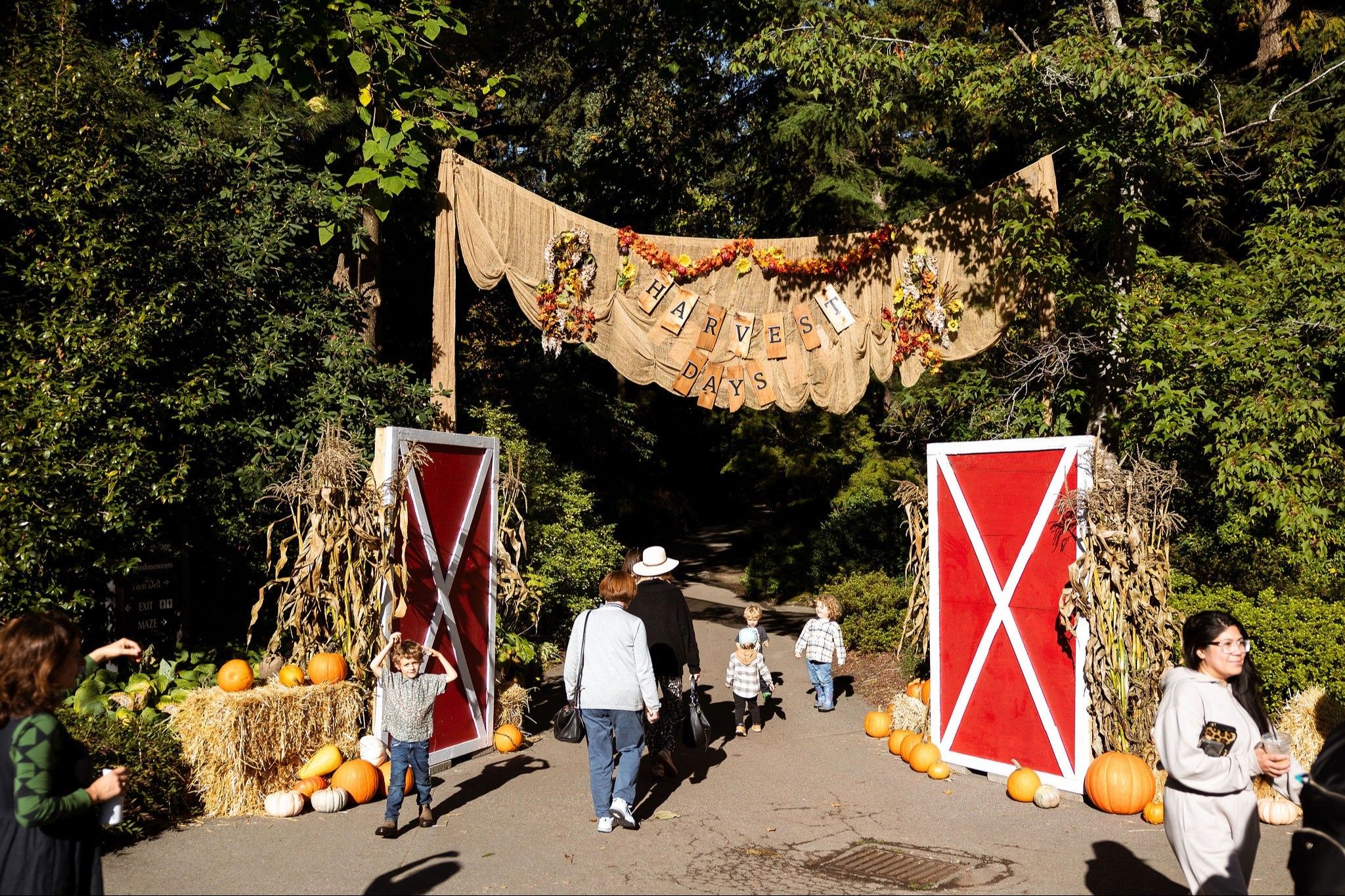 w-2048h-1365-d31807-8M6TO02~