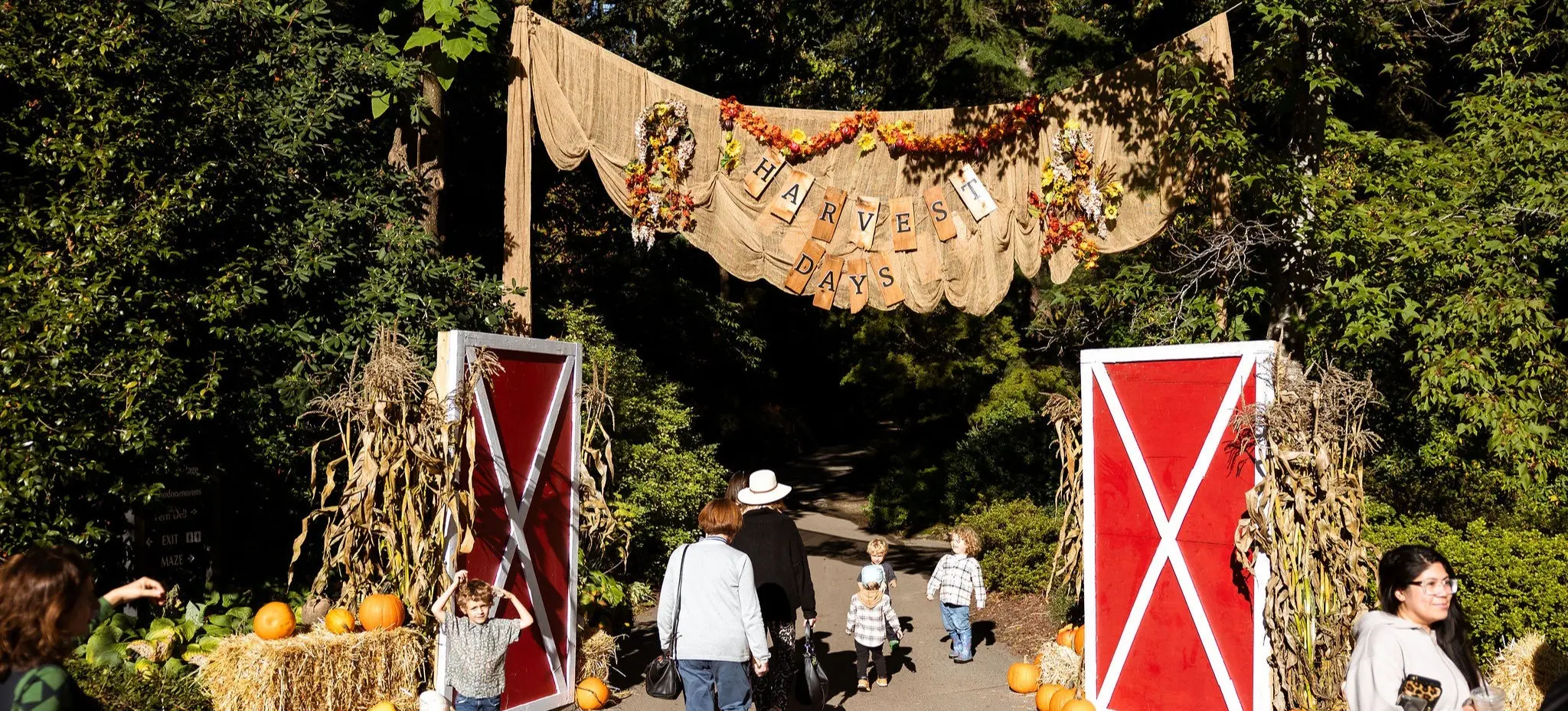 w-2048h-1365-d31807-8M6TO02~