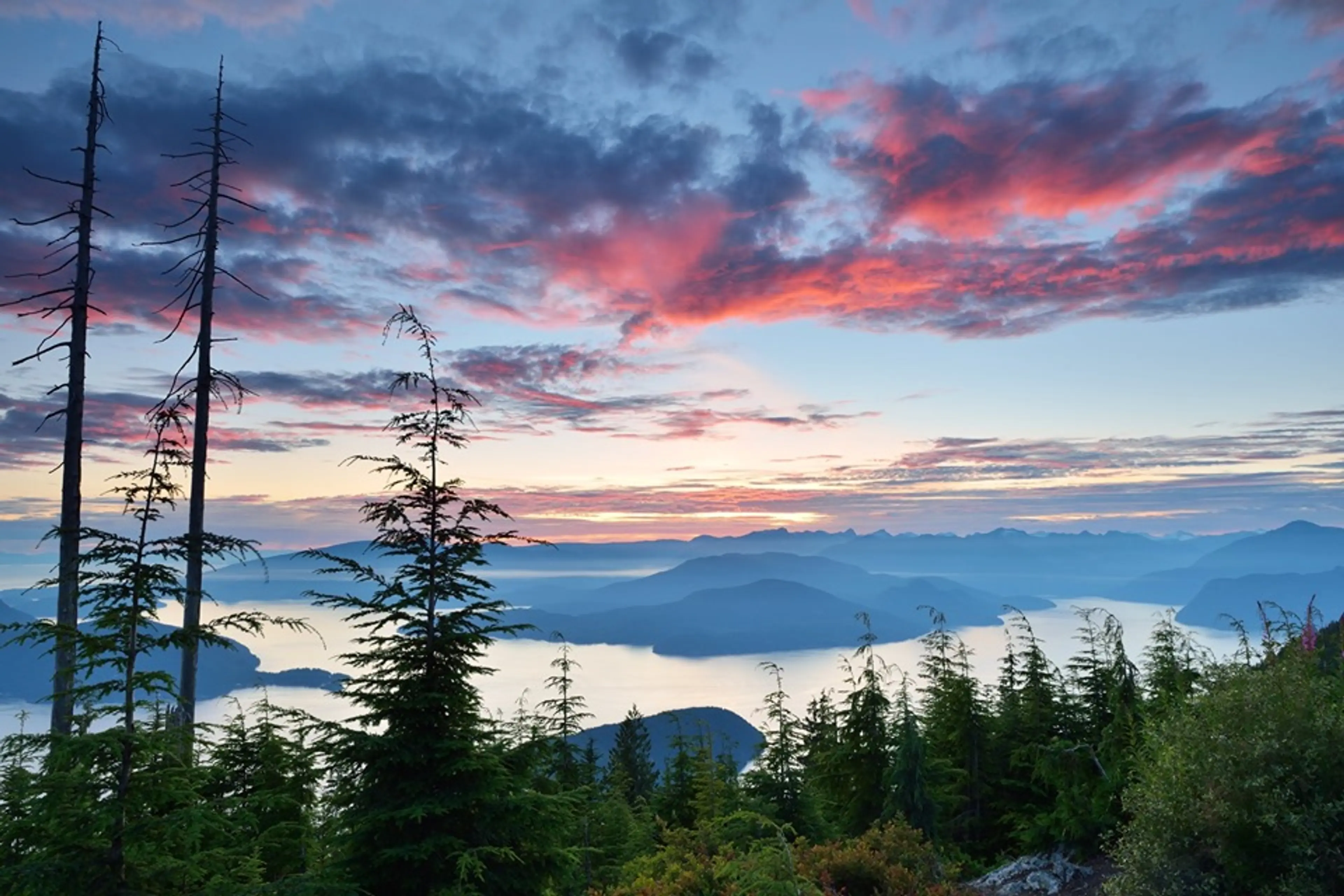 Get easy access to stunning nature (car-free!) with the Vancouver Parkbus