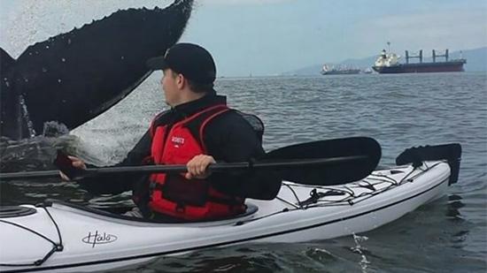 Kayaker in English Bay Gets a Little Too Close to a Whale