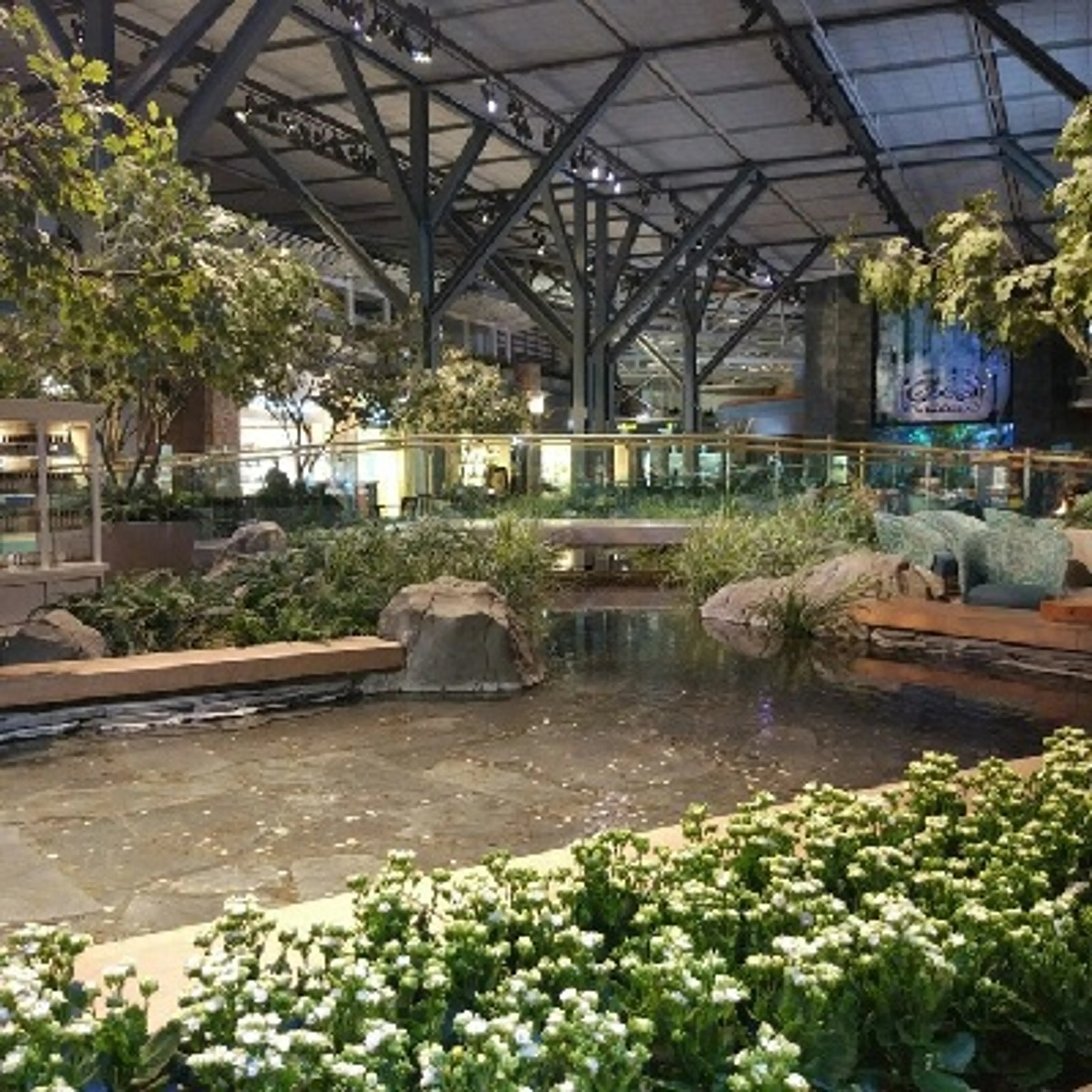 YVR