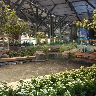 YVR