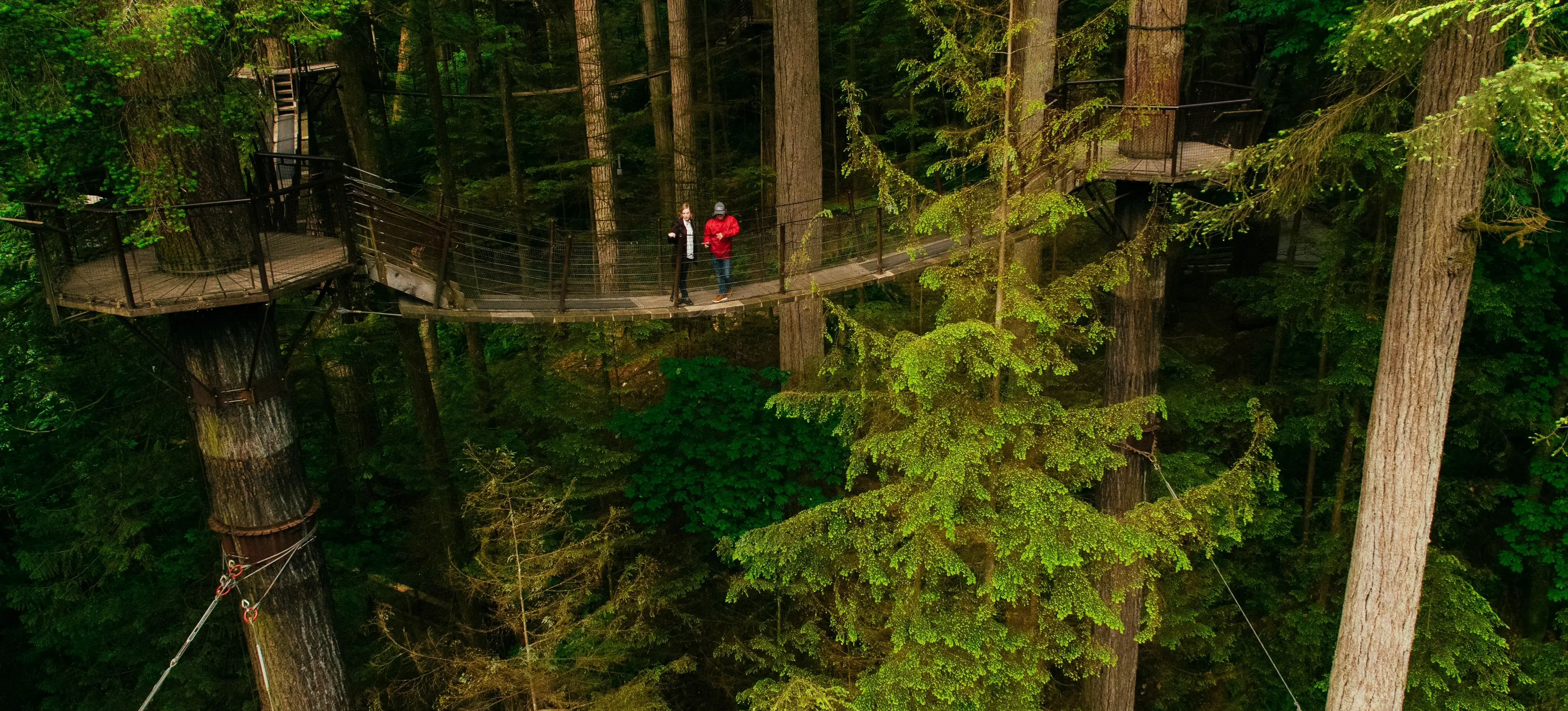 Treetops Adventure at Capilano Suspension Bridge Park
