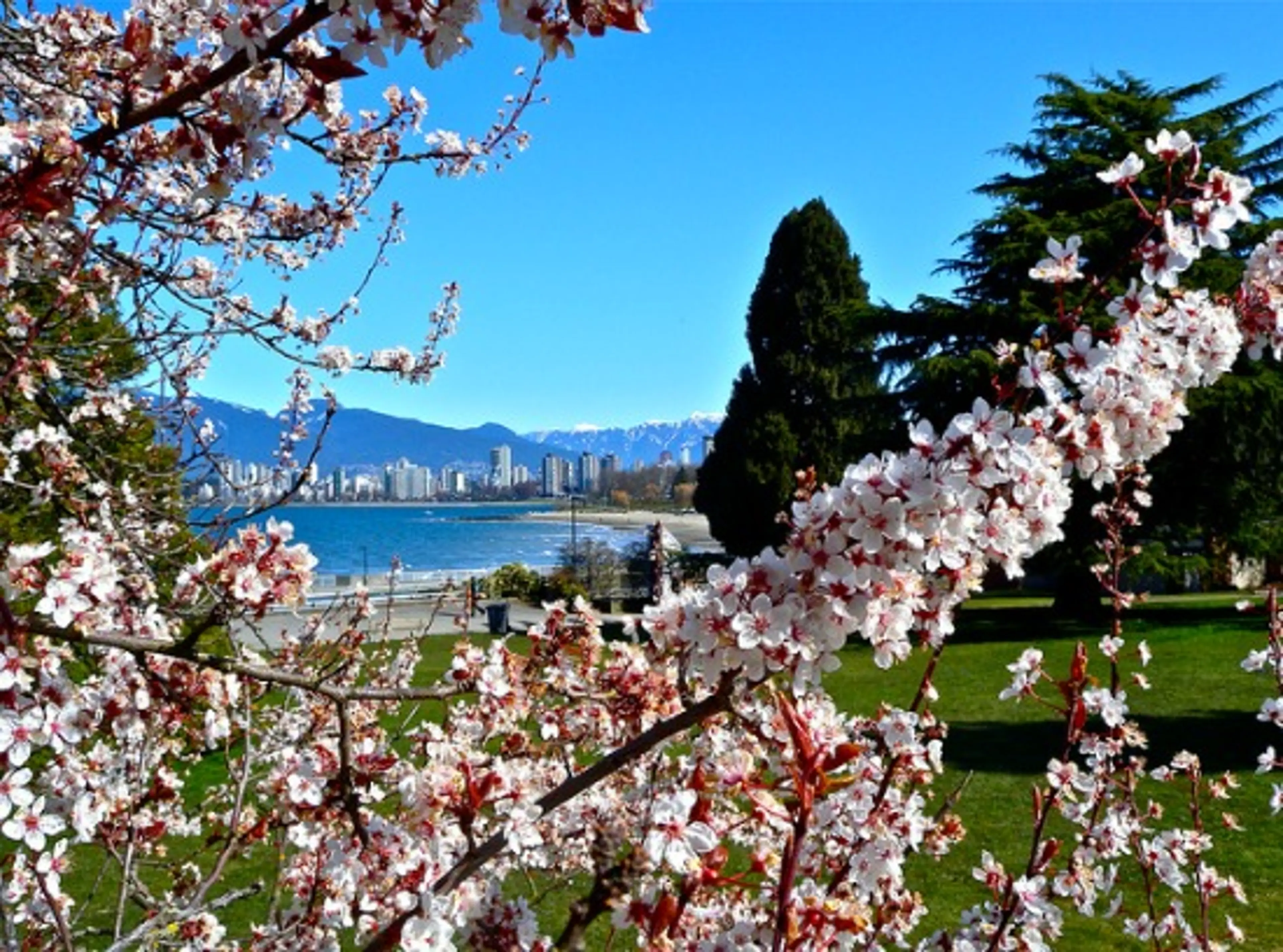 Kids In Vancouver: A Local Family’s Spring Bucket List