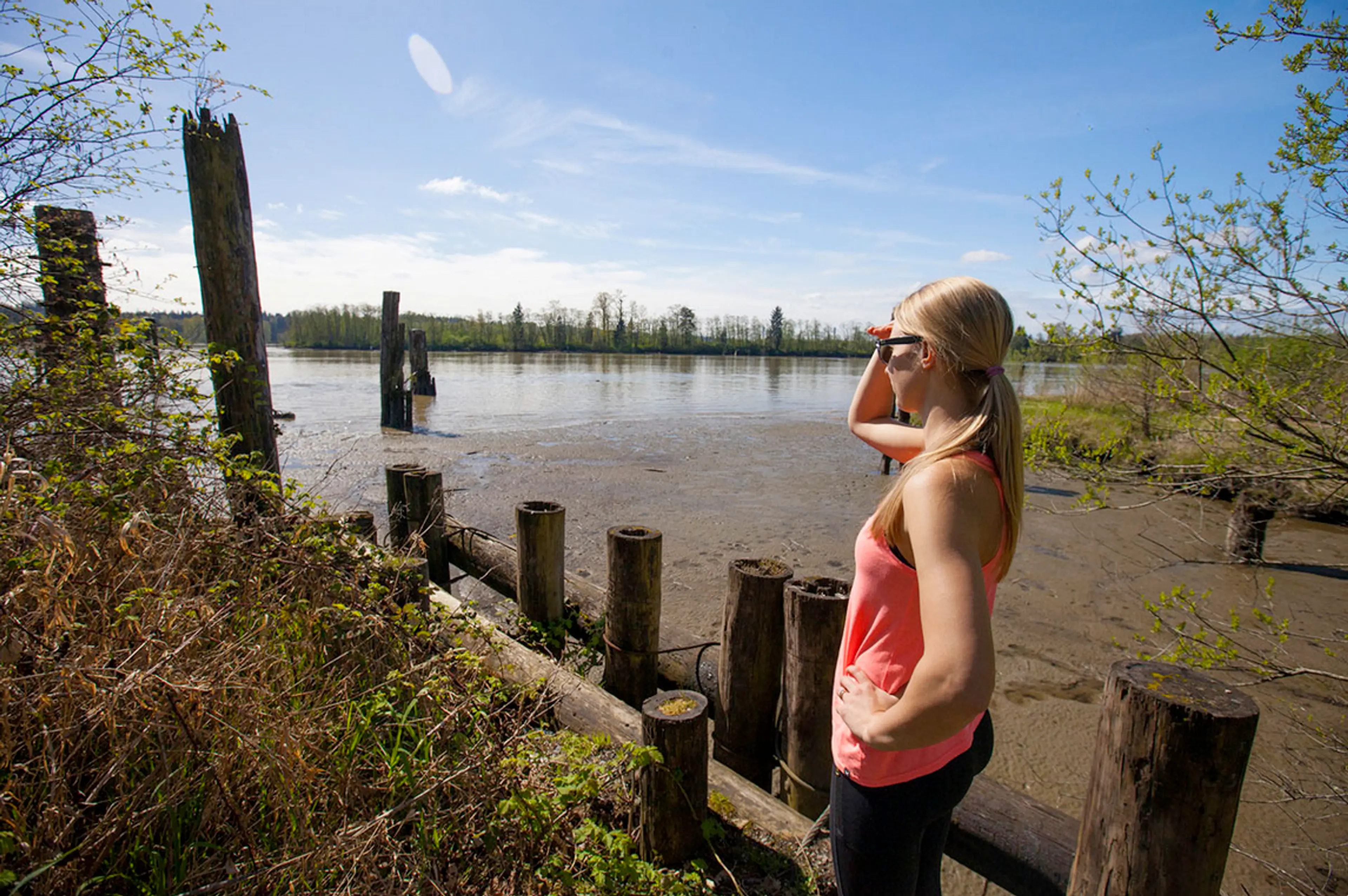 A woman looks at the River from the Pitt River Regional Greenway