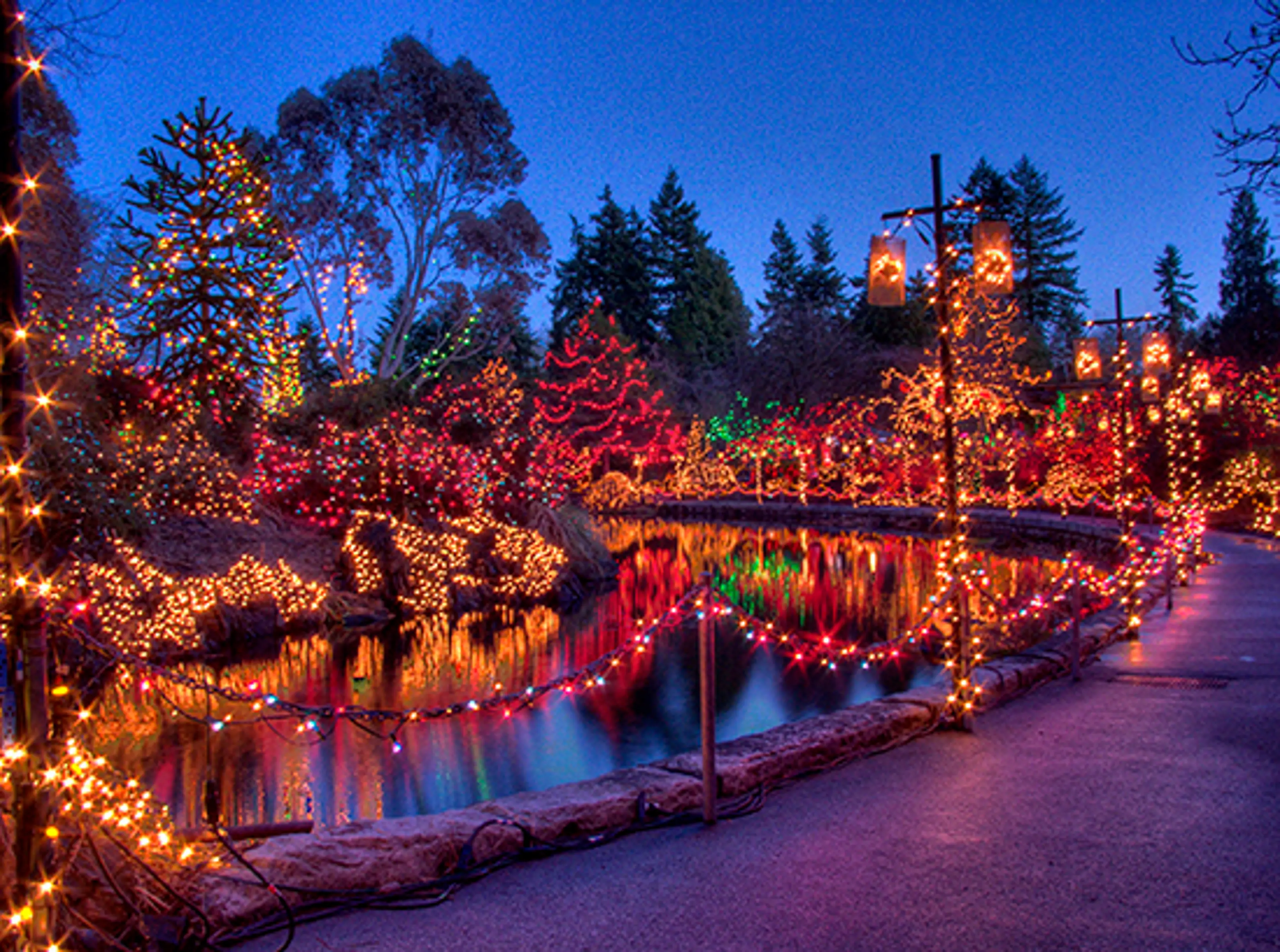 Experience VanDusen Festival of Lights, A Magical Winter Wonderland With Over 1 Million Lights