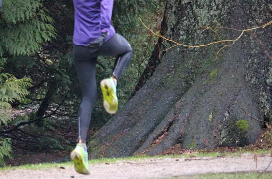 Crescent Park – Semiahmoo Peninsula’s Hidden Gem