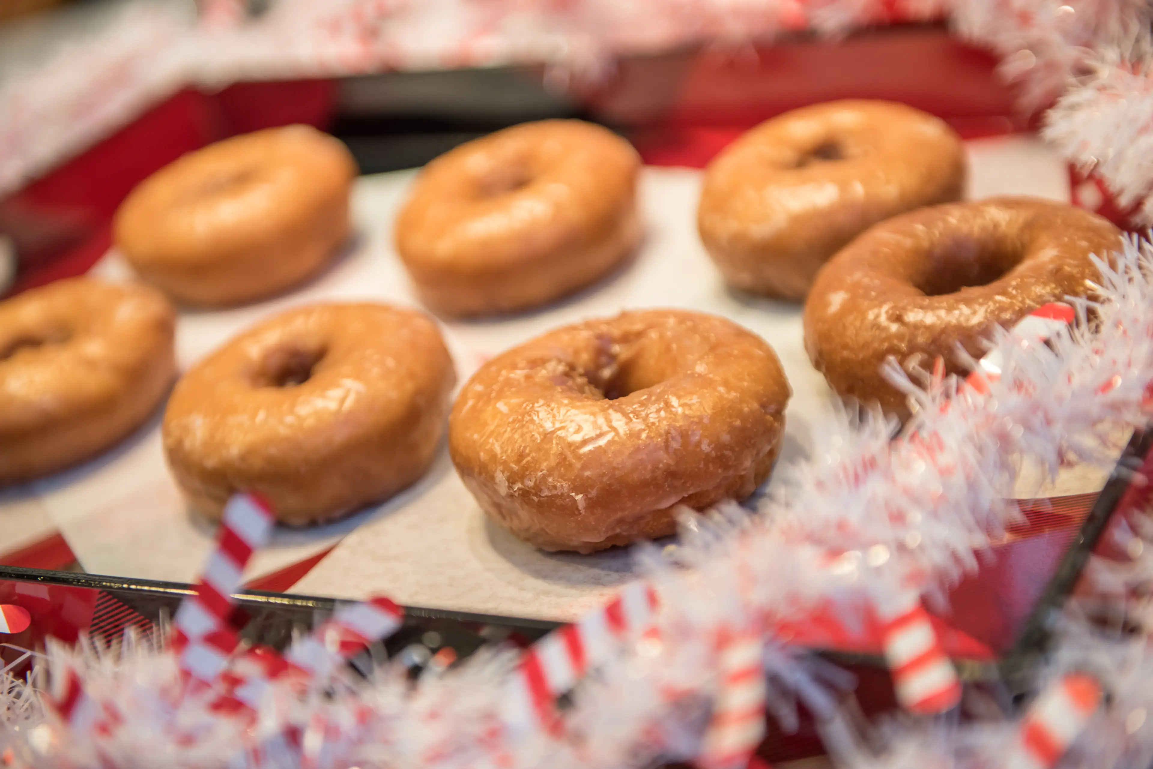Navigating a Foodie Holiday with Ease