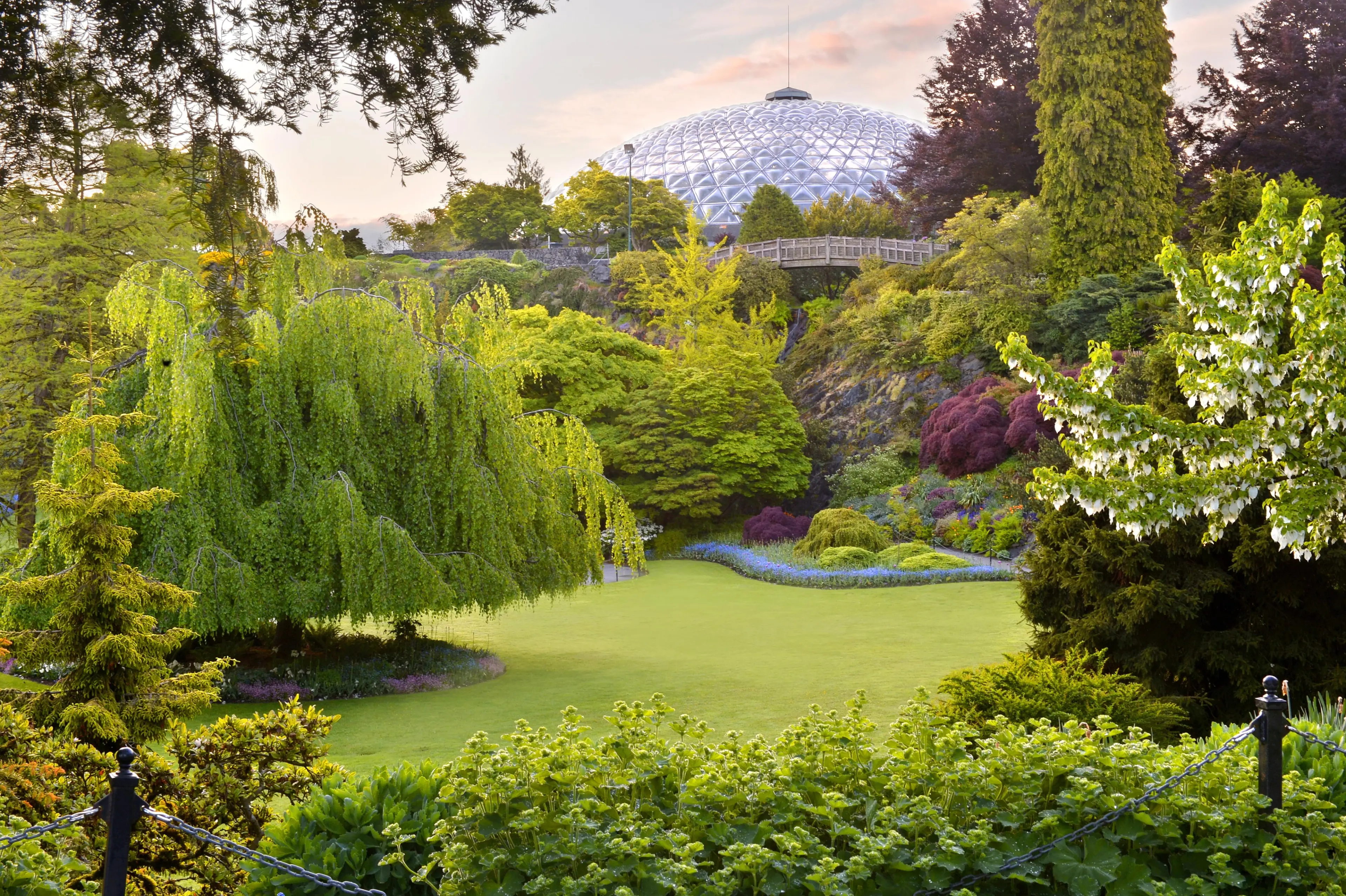 Bloedel Conservatory