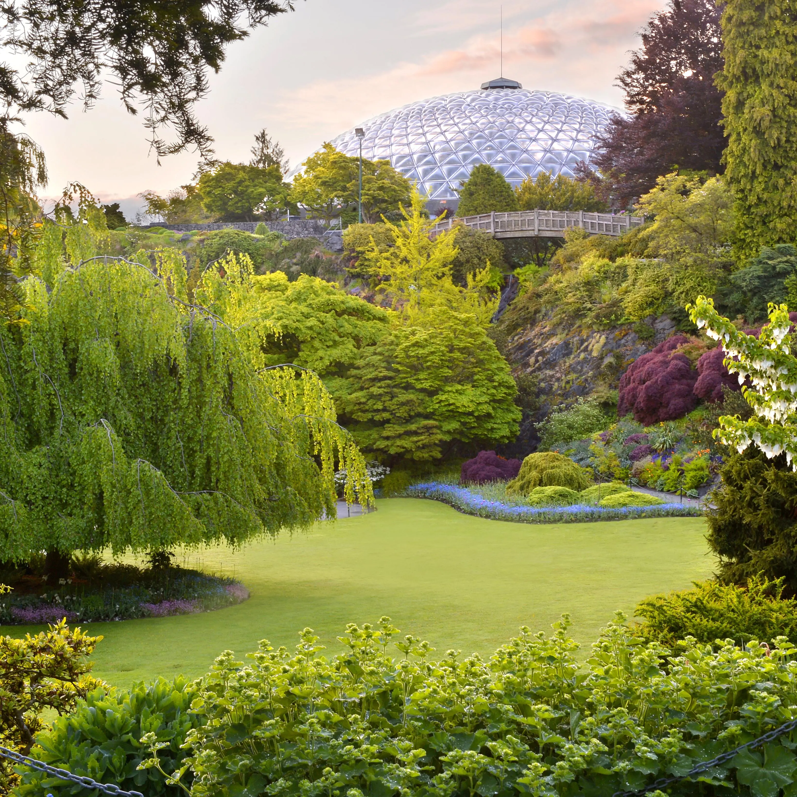 Bloedel Conservatory