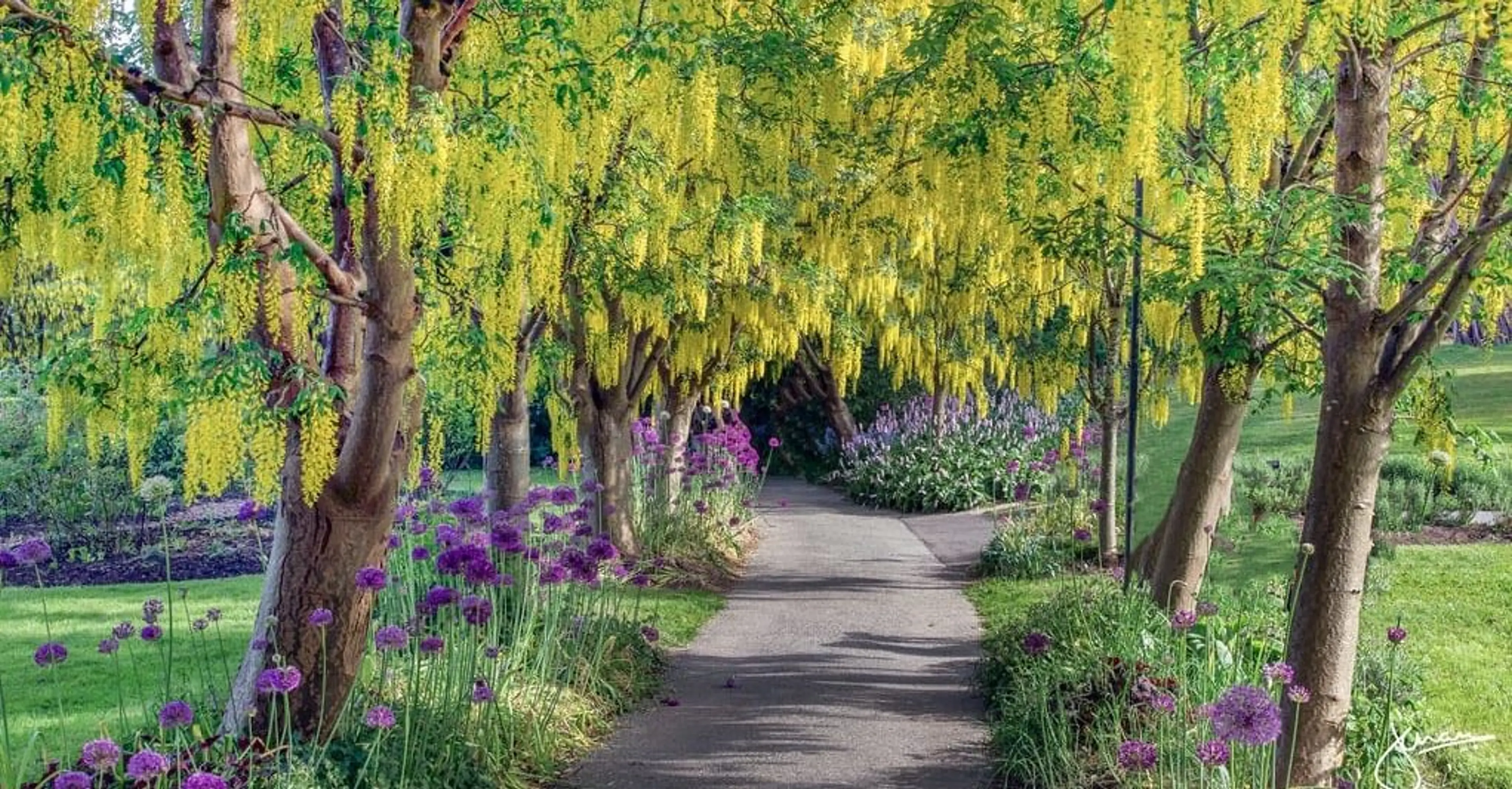 botanical garden Vancouver