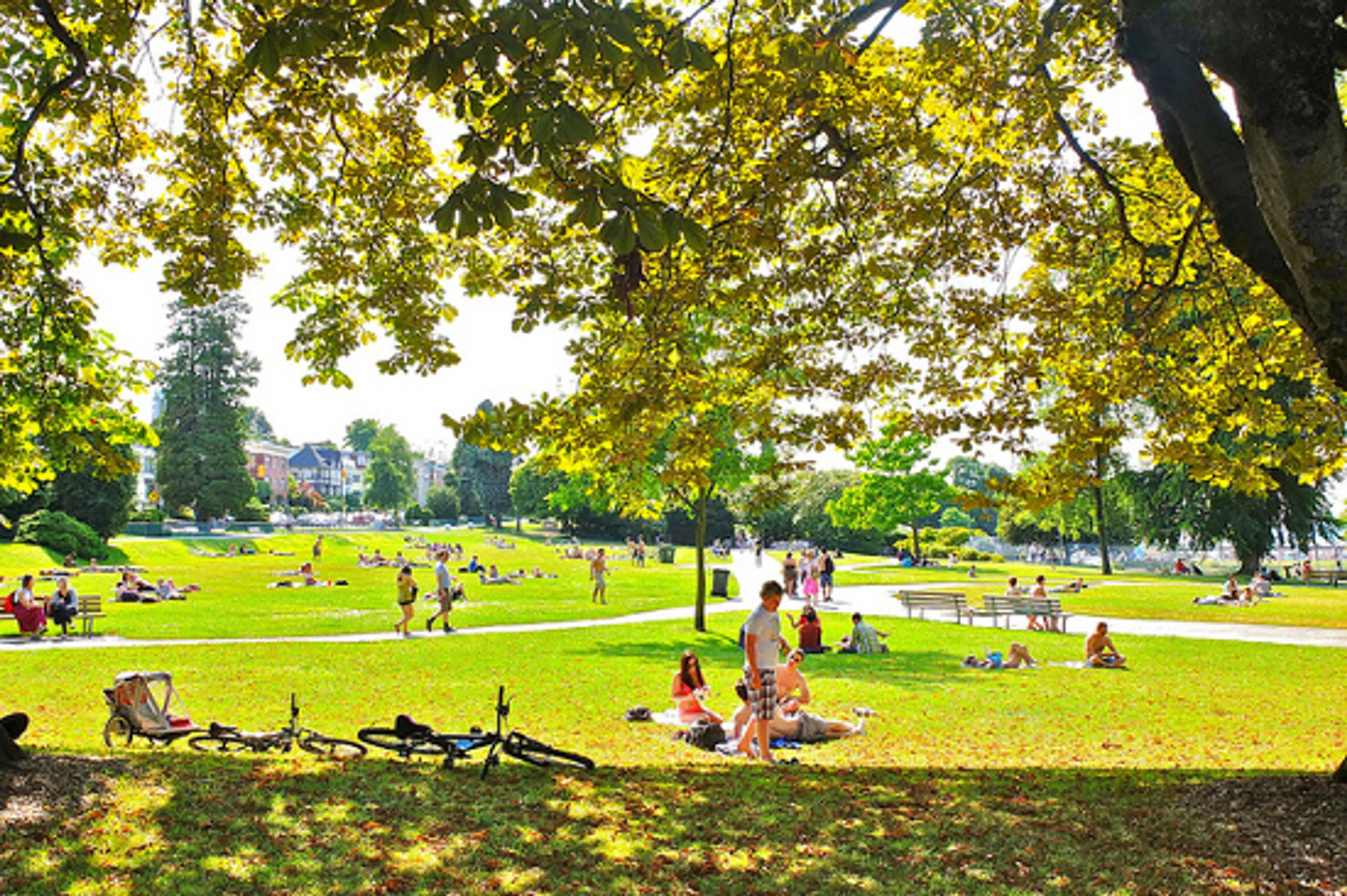 Explore Vancouver’s Kitsilano Neighbourhood: The 11 Best Attractions