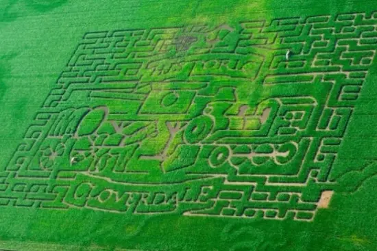 photo: Discover Surrey