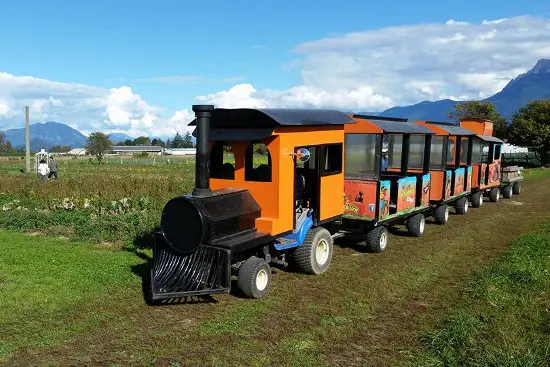 photo: Facebook / Petey's Pumpkin Patch
