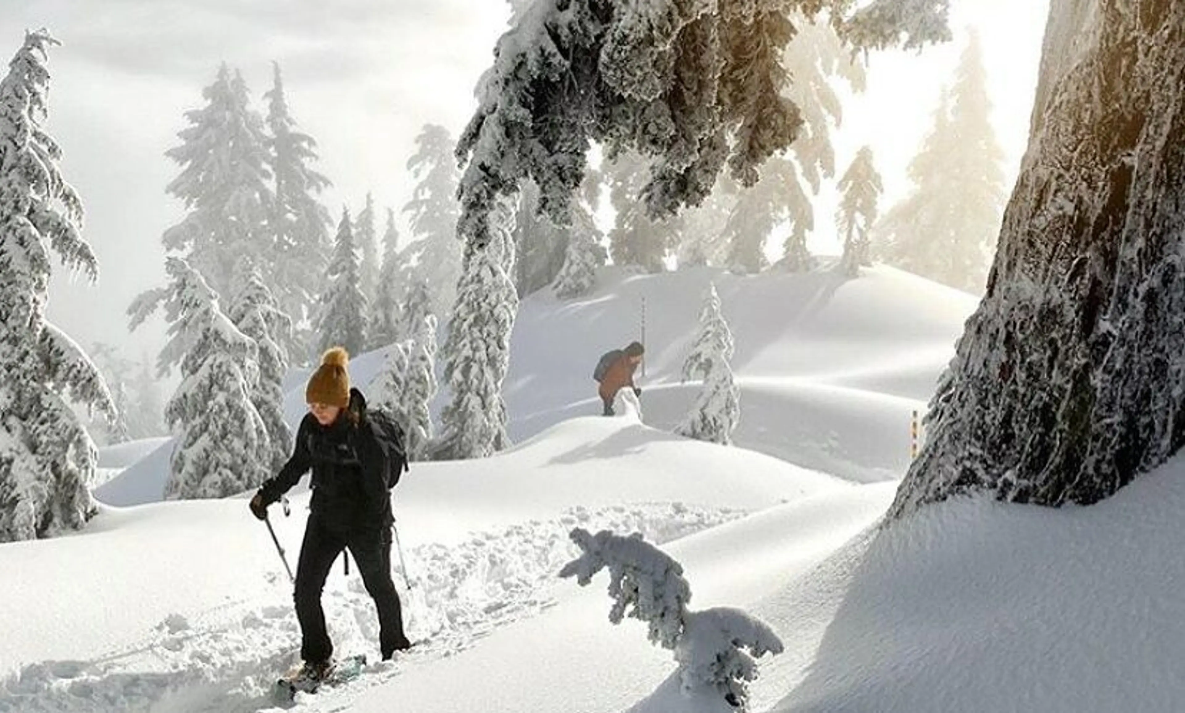 Snowshoe and Winter Hiking Safety Tips