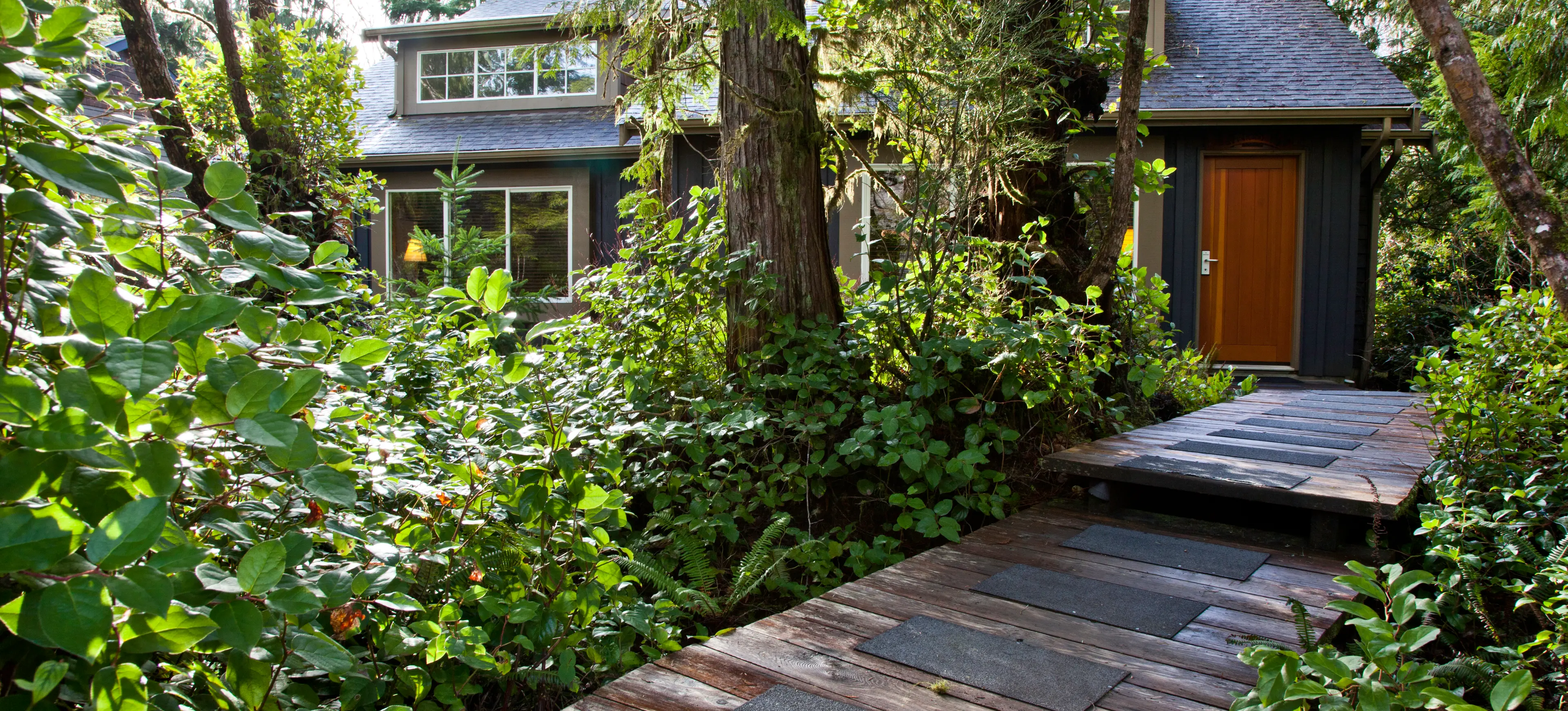 2-bedroom Rainforest Cottage
