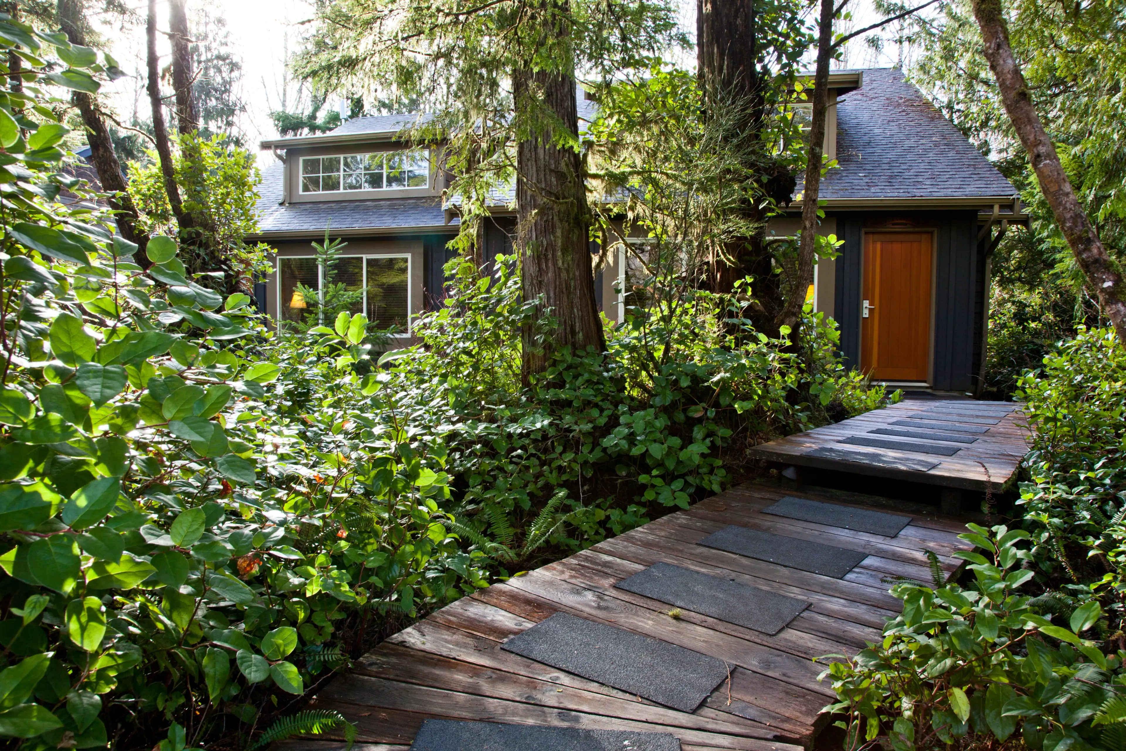 2-bedroom Rainforest Cottage
