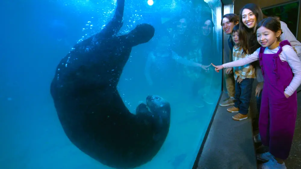 Family with Sea Otter