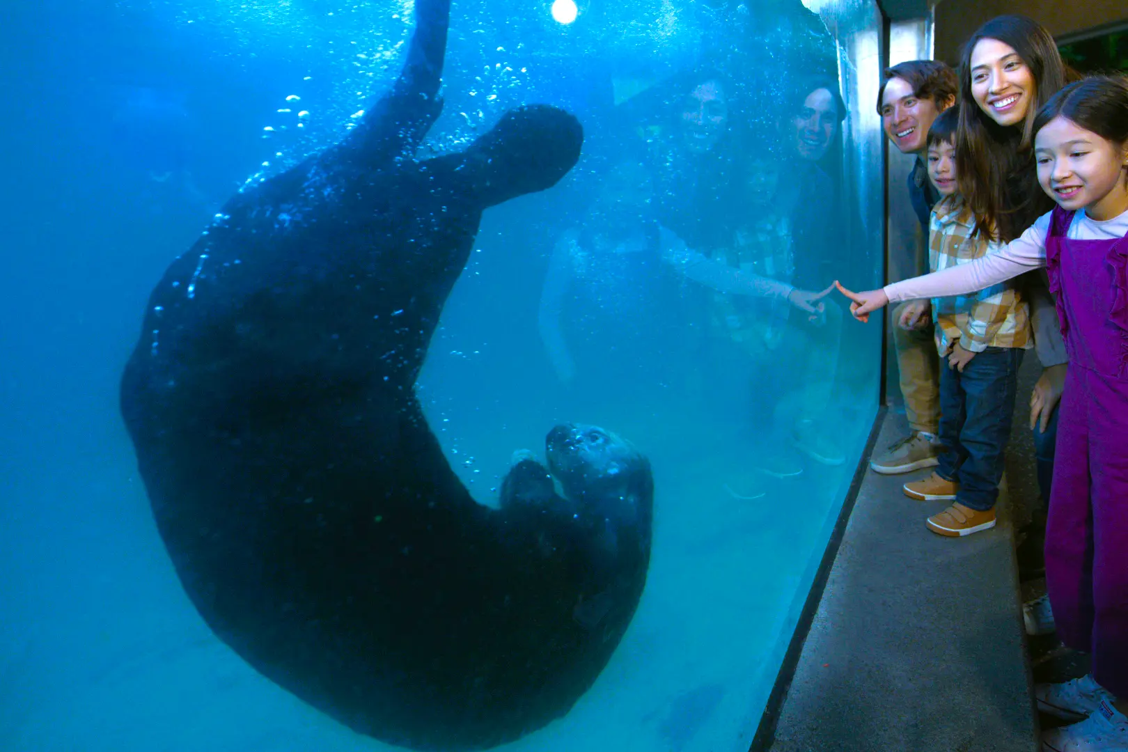 Family with Sea Otter