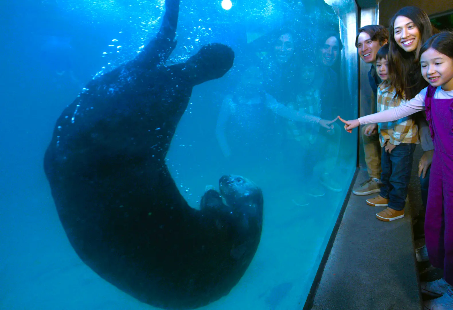 Family with Sea Otter