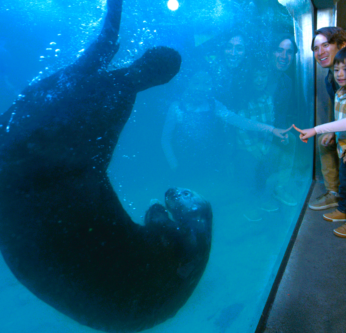 Family with Sea Otter