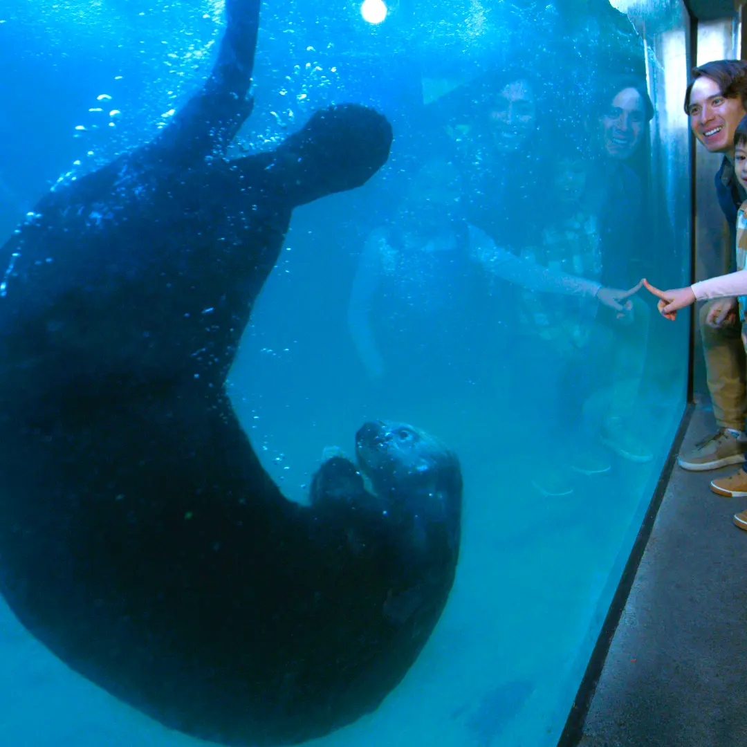 Family with Sea Otter
