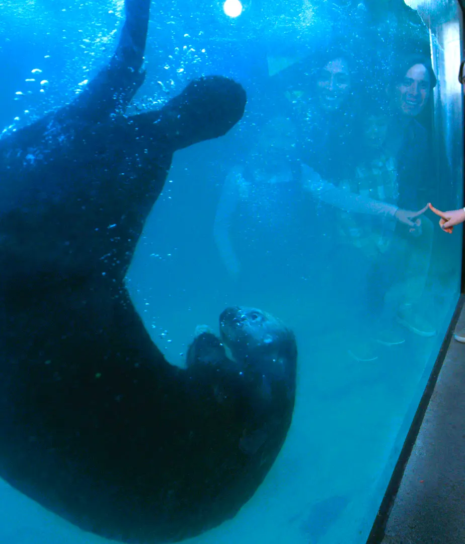 Family with Sea Otter