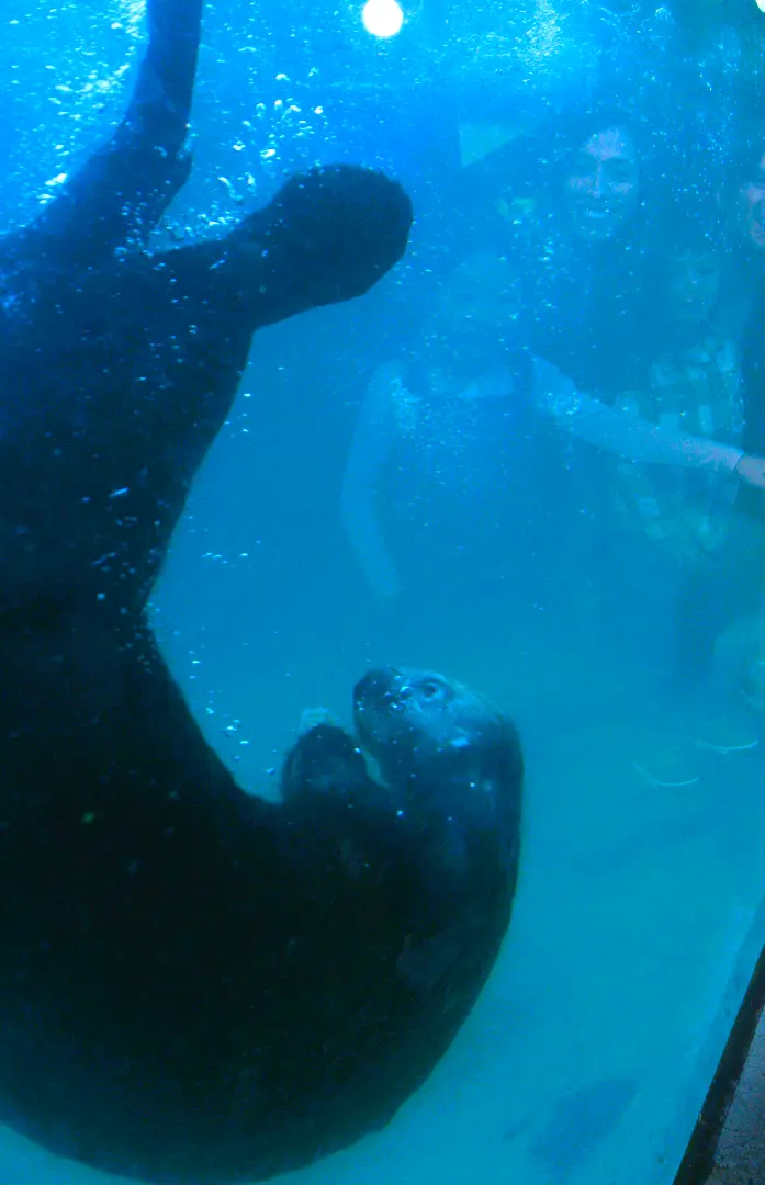 Family with Sea Otter