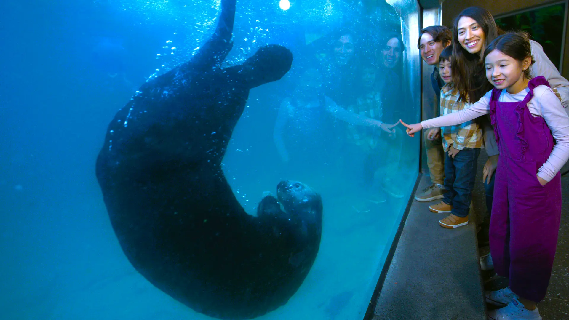 Family with Sea Otter