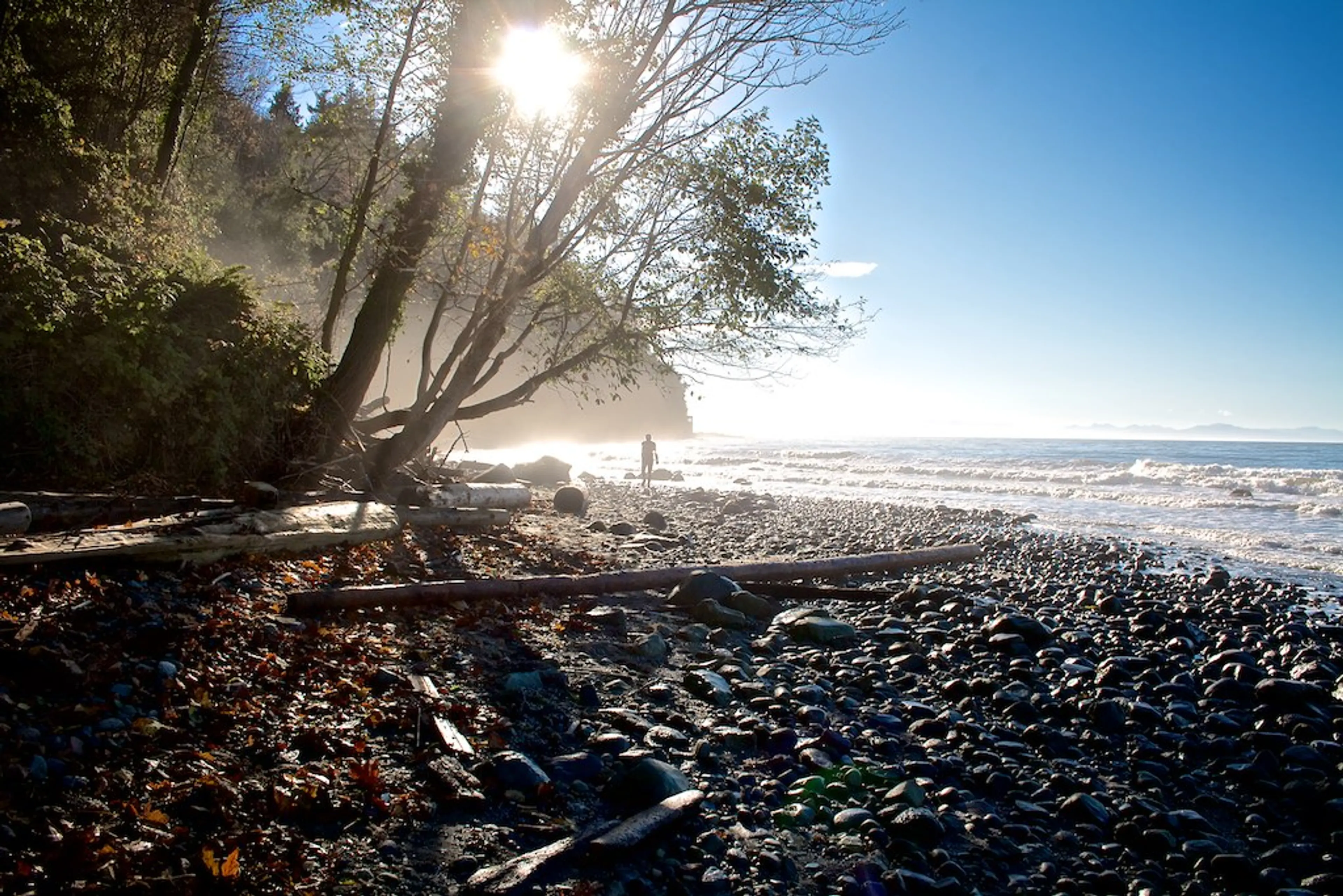 Wreck Beach in Vancouver's Pacific Spirit Park